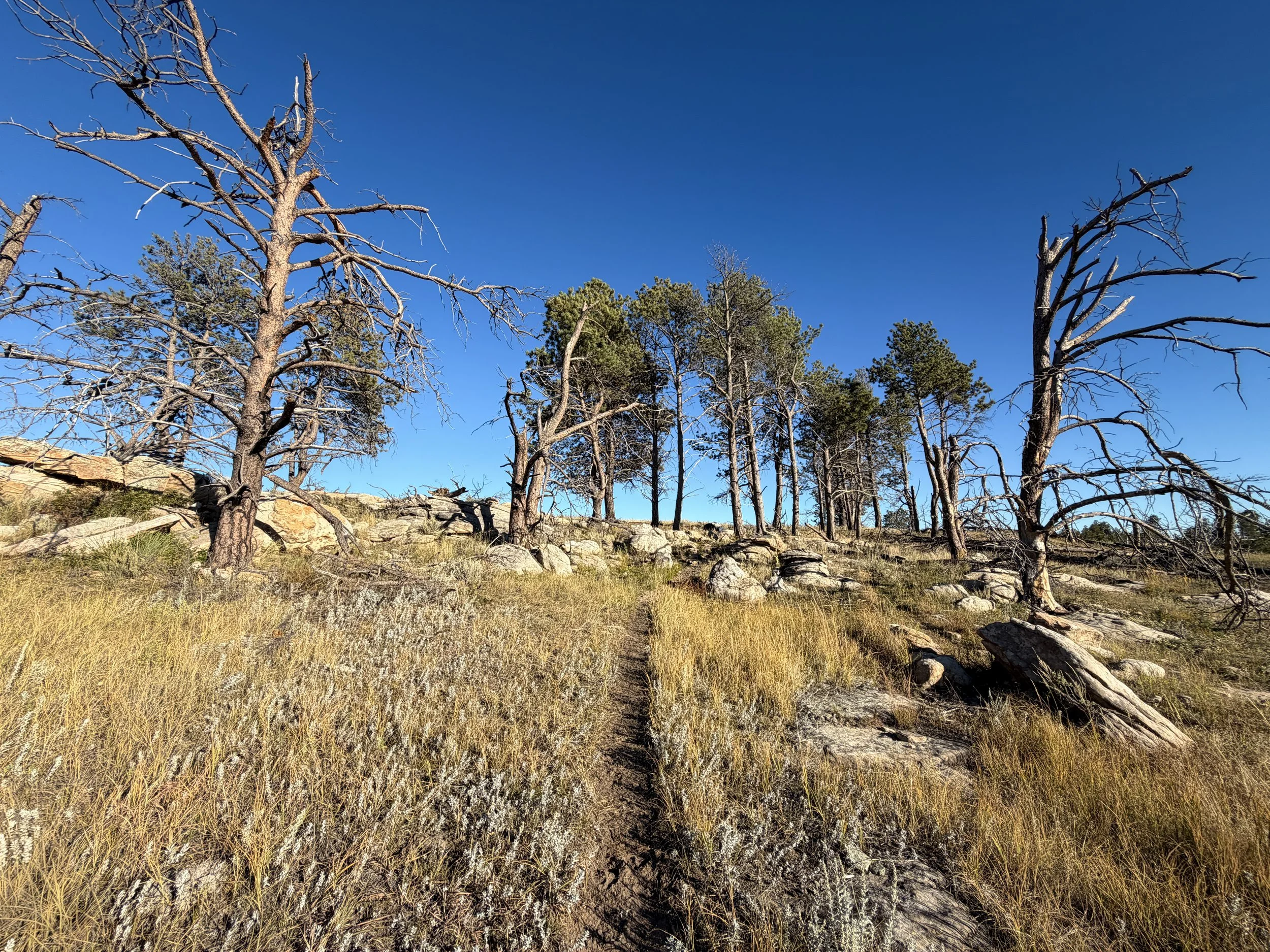 Boland Ridge Hike Wind Cave National Park South Dakota