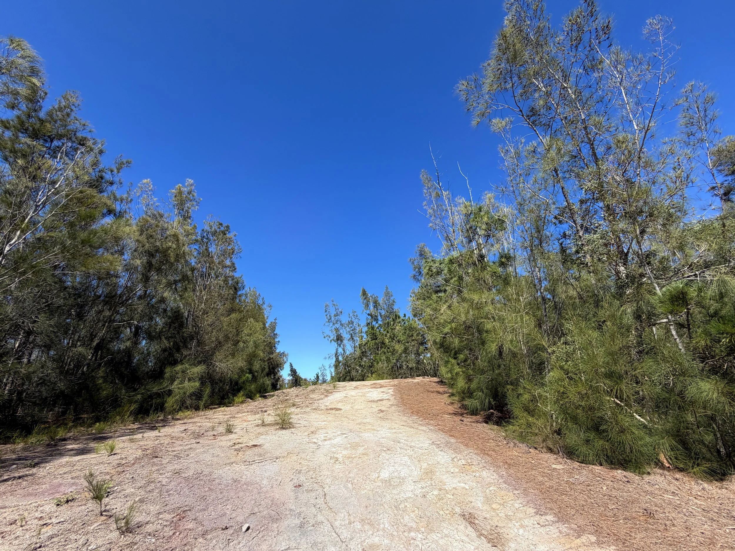 Kuaokala Trail Oahu Hawaii