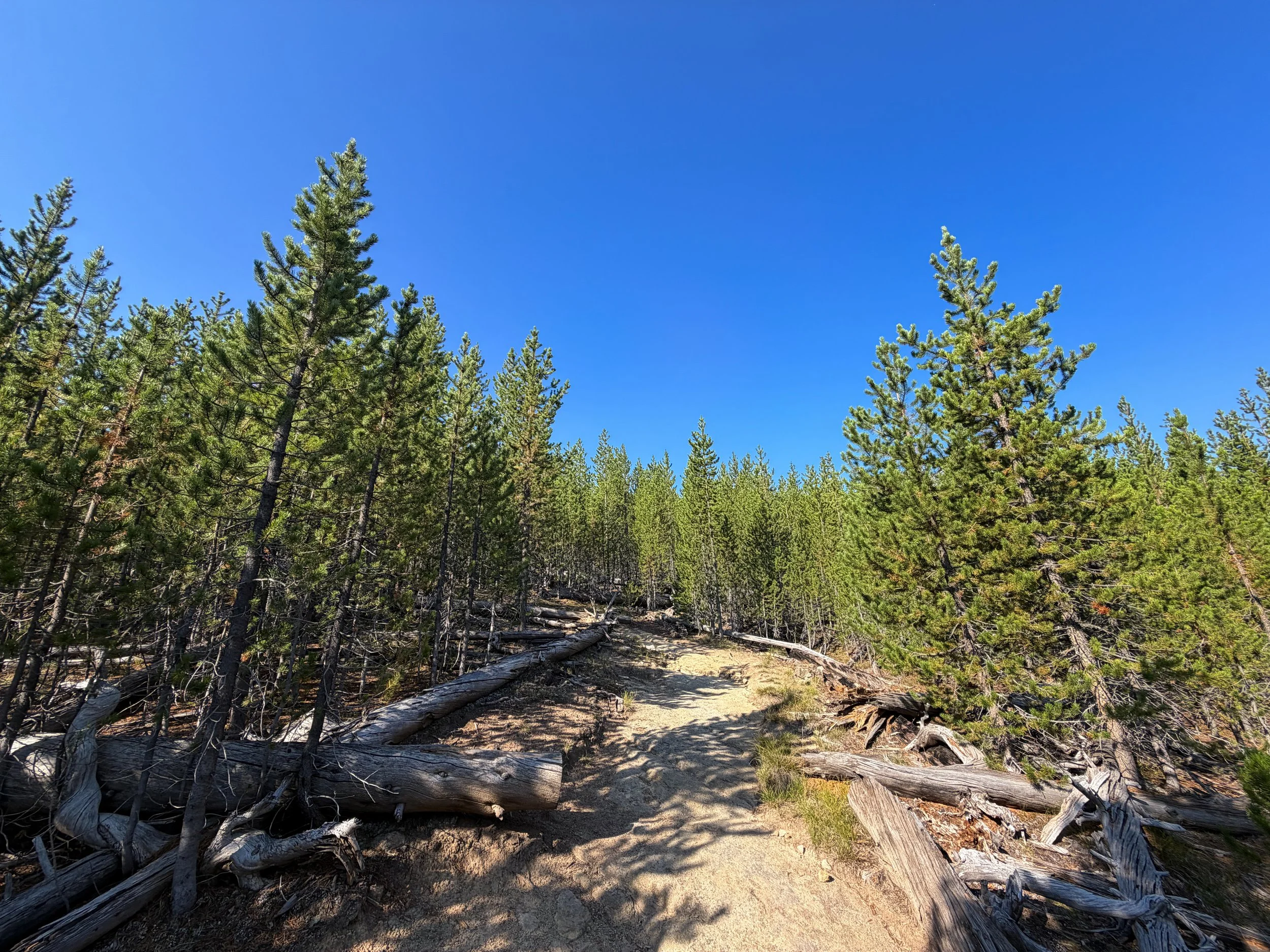 Monument Geyser Basin Hike Yellowstone National Park Wyoming