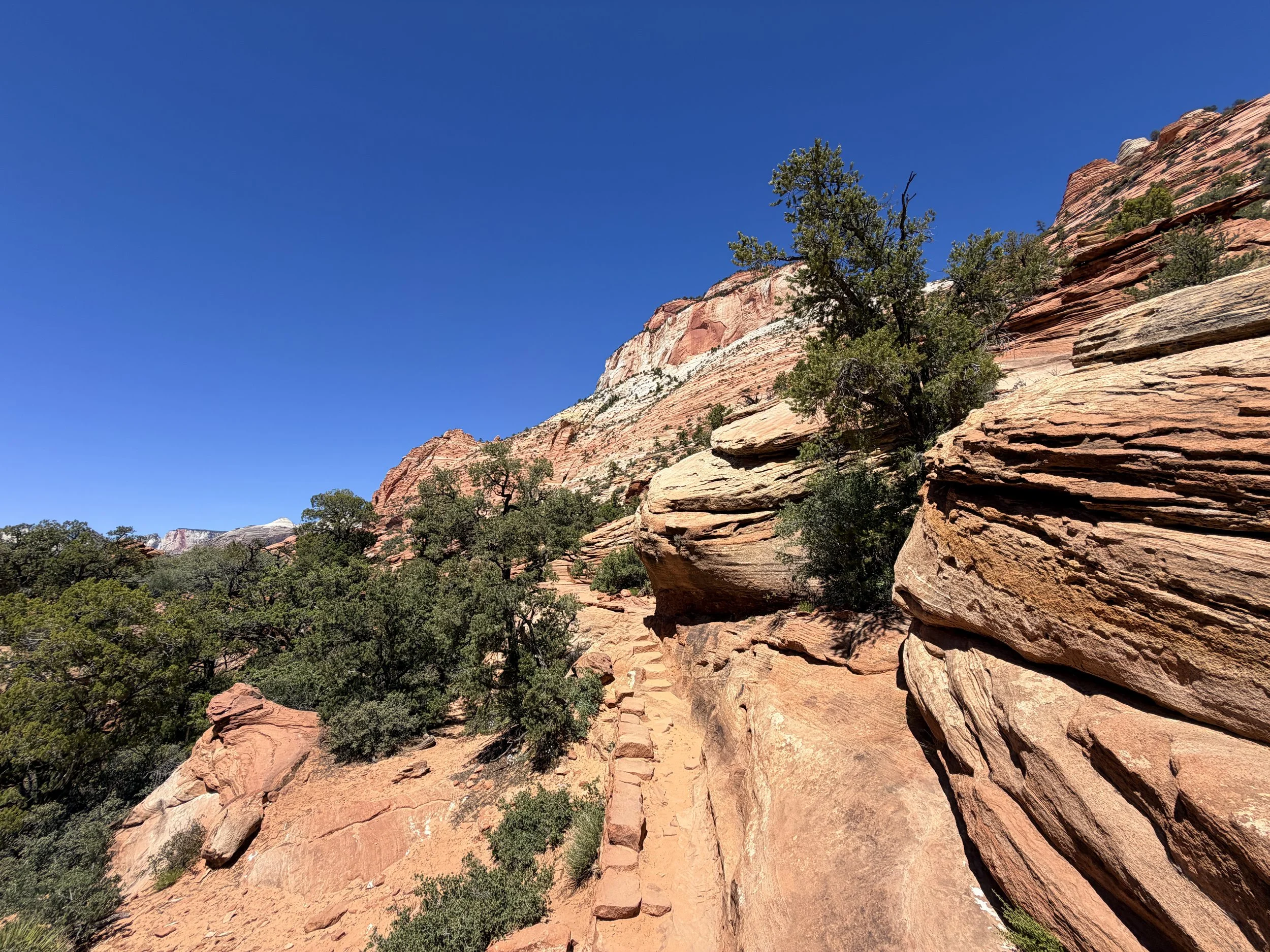 Canyon Overlook Trail Zion National Park Utah