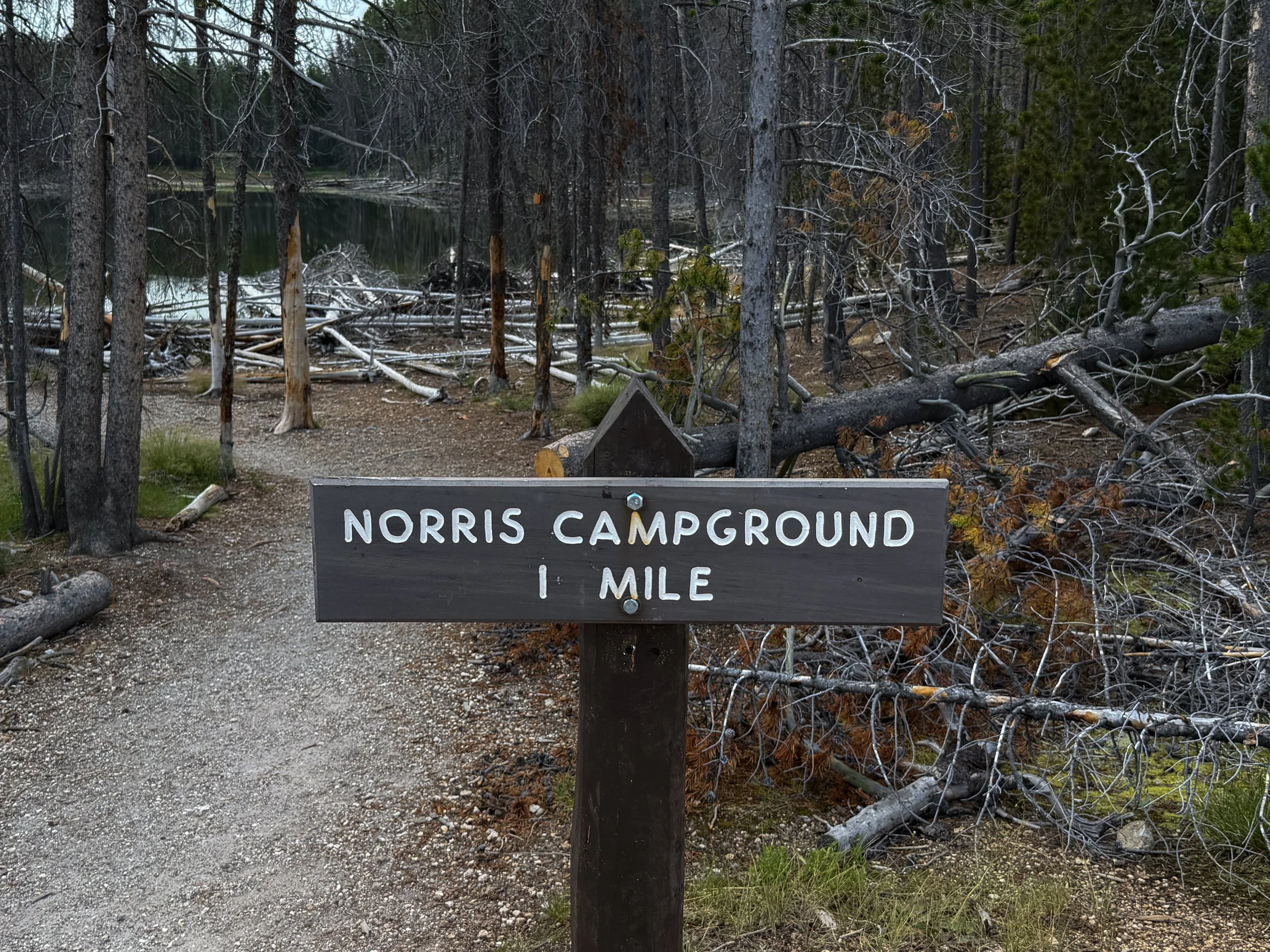 Norris Campground Trail Yellowstone National Park Wyoming