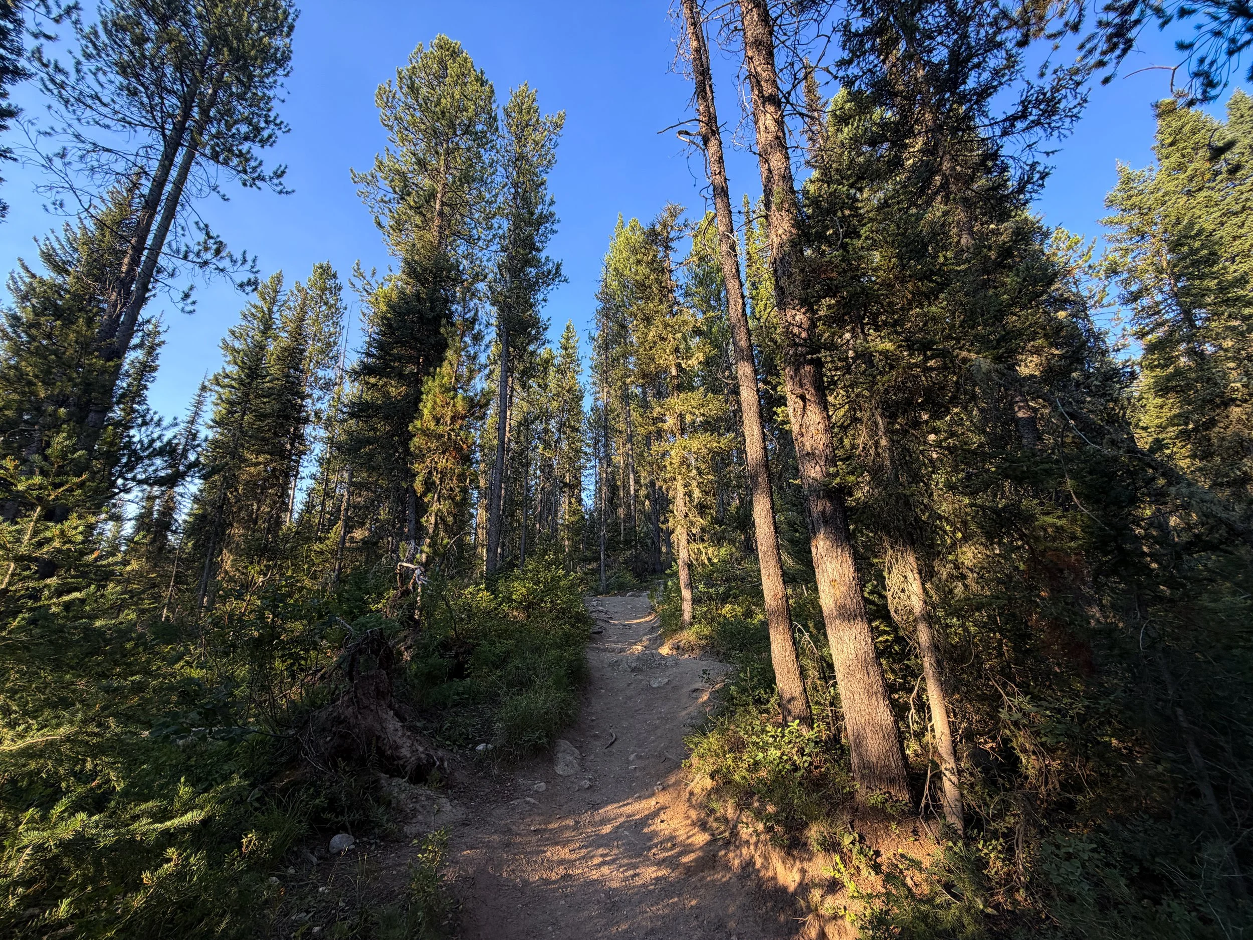 Delta Lake Trail Grand Teton National Park Wyoming
