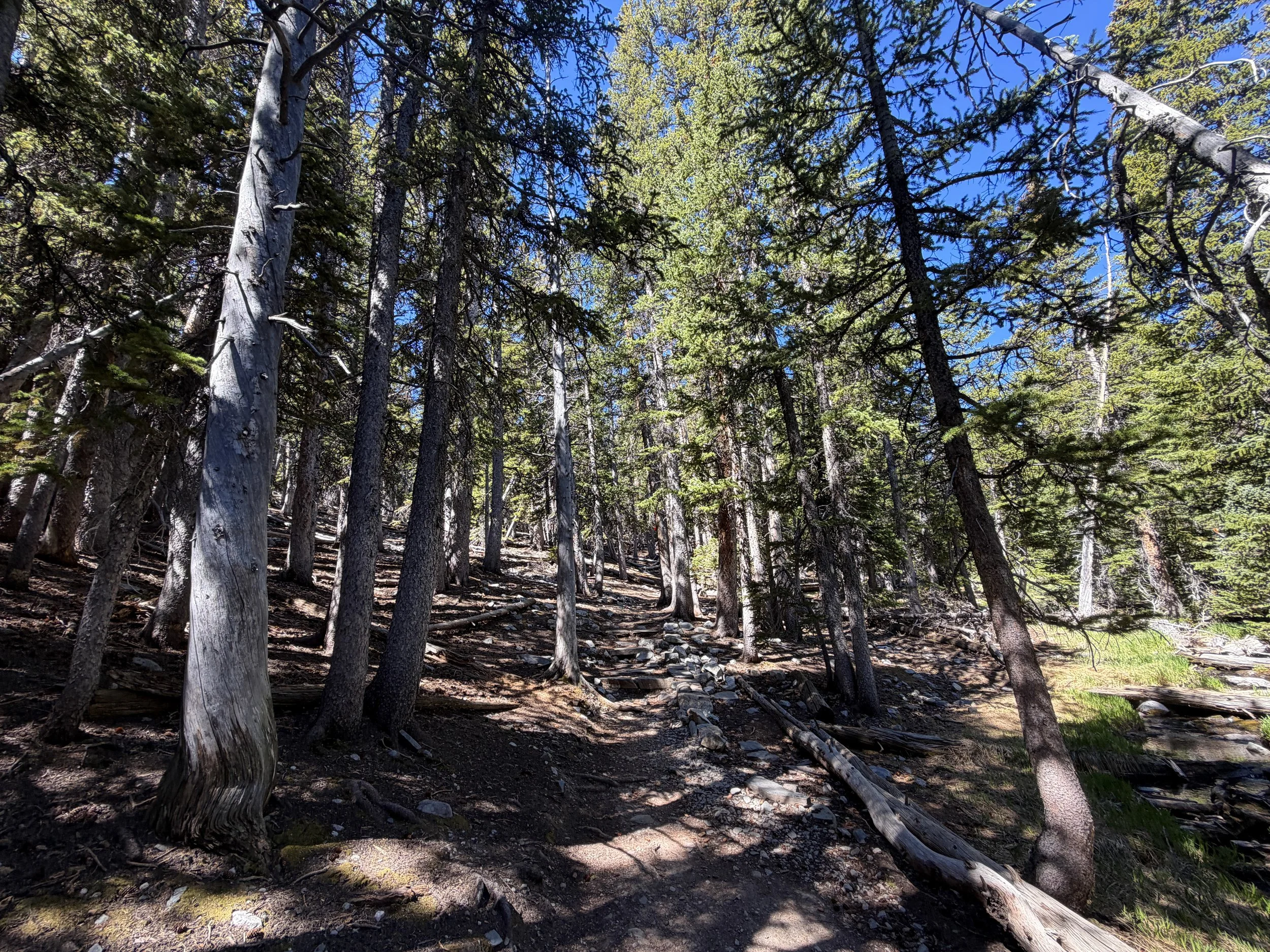 Alpine Lakes Loop Trail Great Basin National Park Nevada