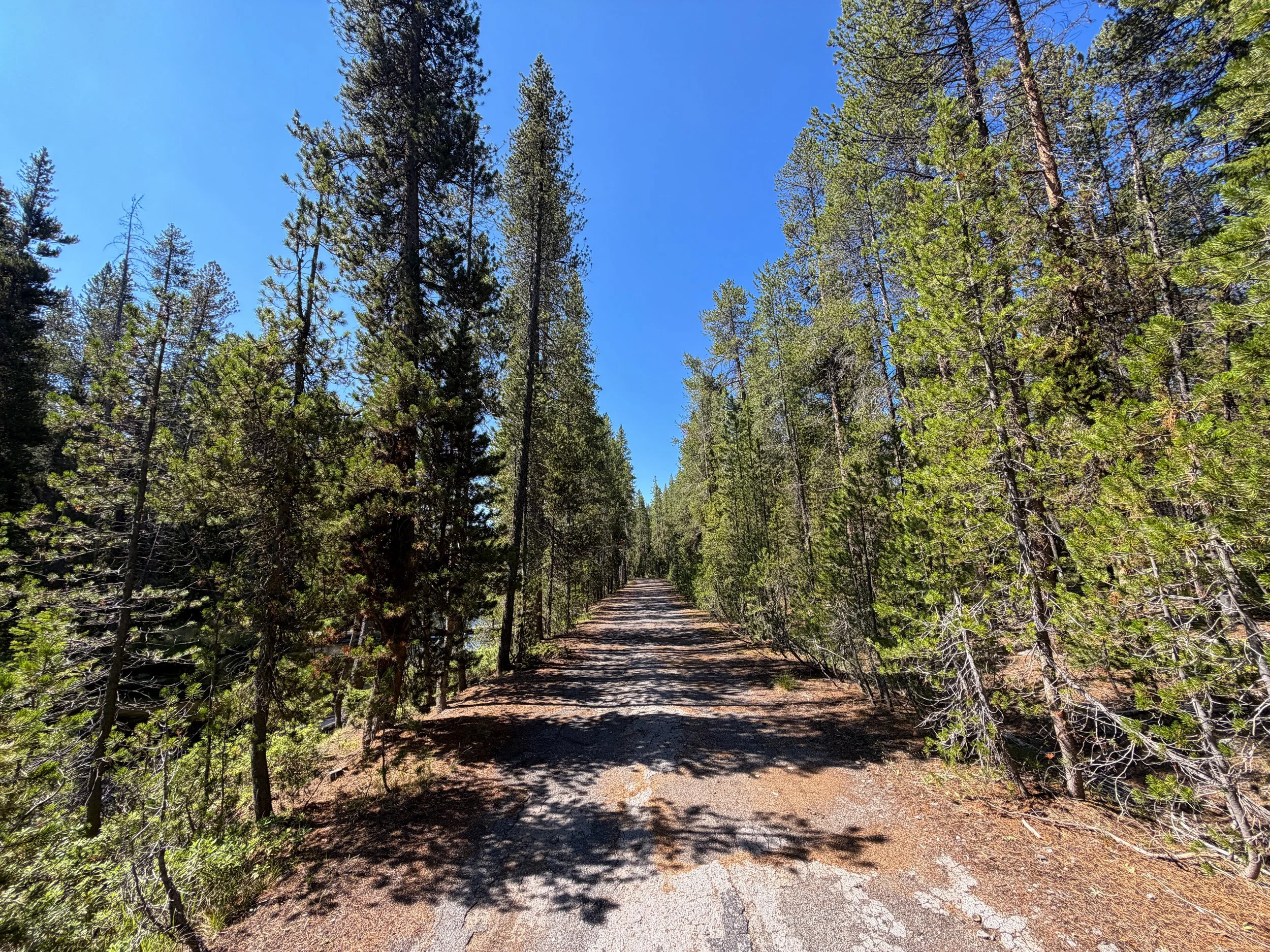 Lone Star Geyser Trail Yellowstone National Park Wyoming
