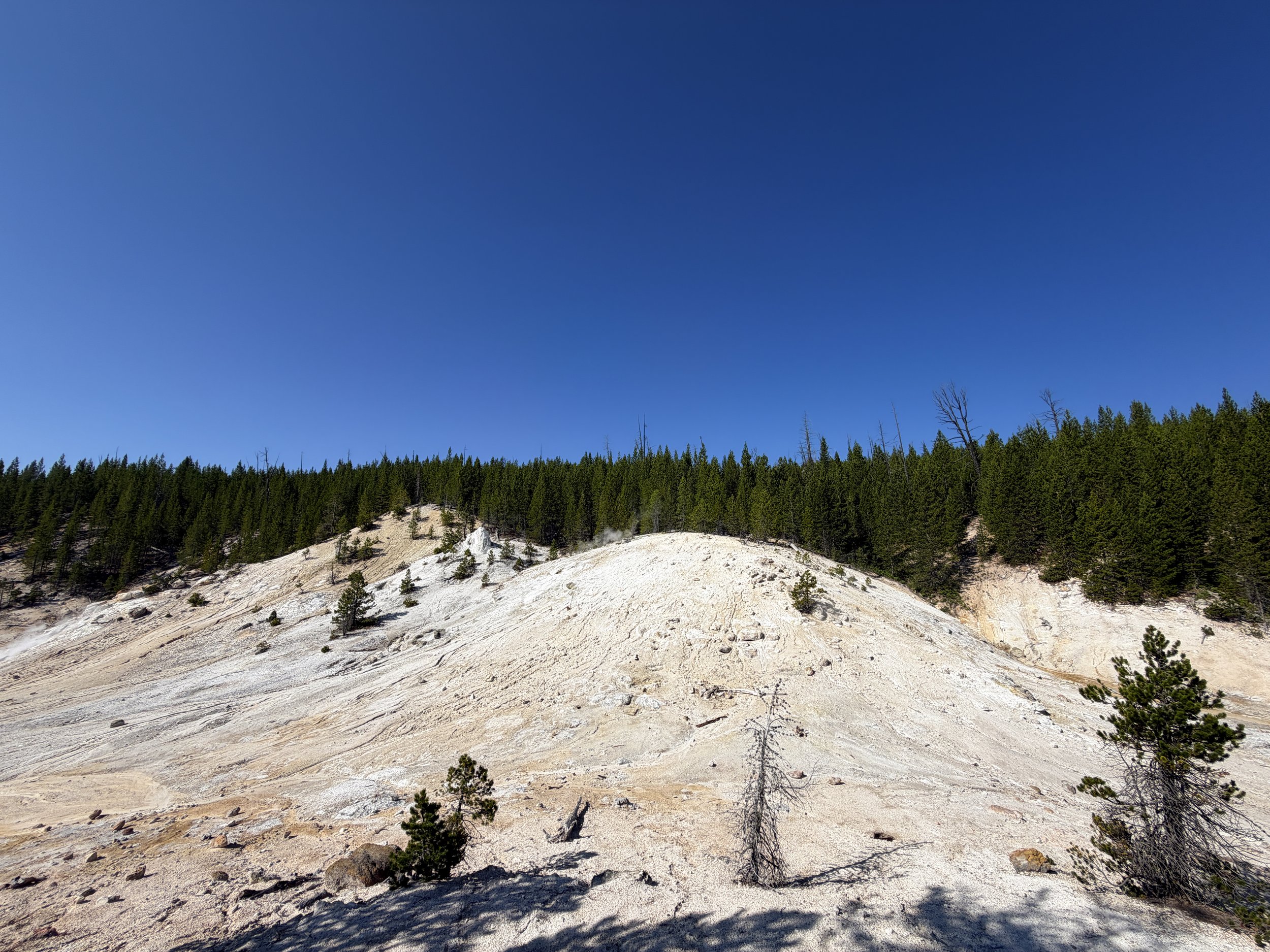 Monument Geyser Basin Yellowstone National Park Wyoming