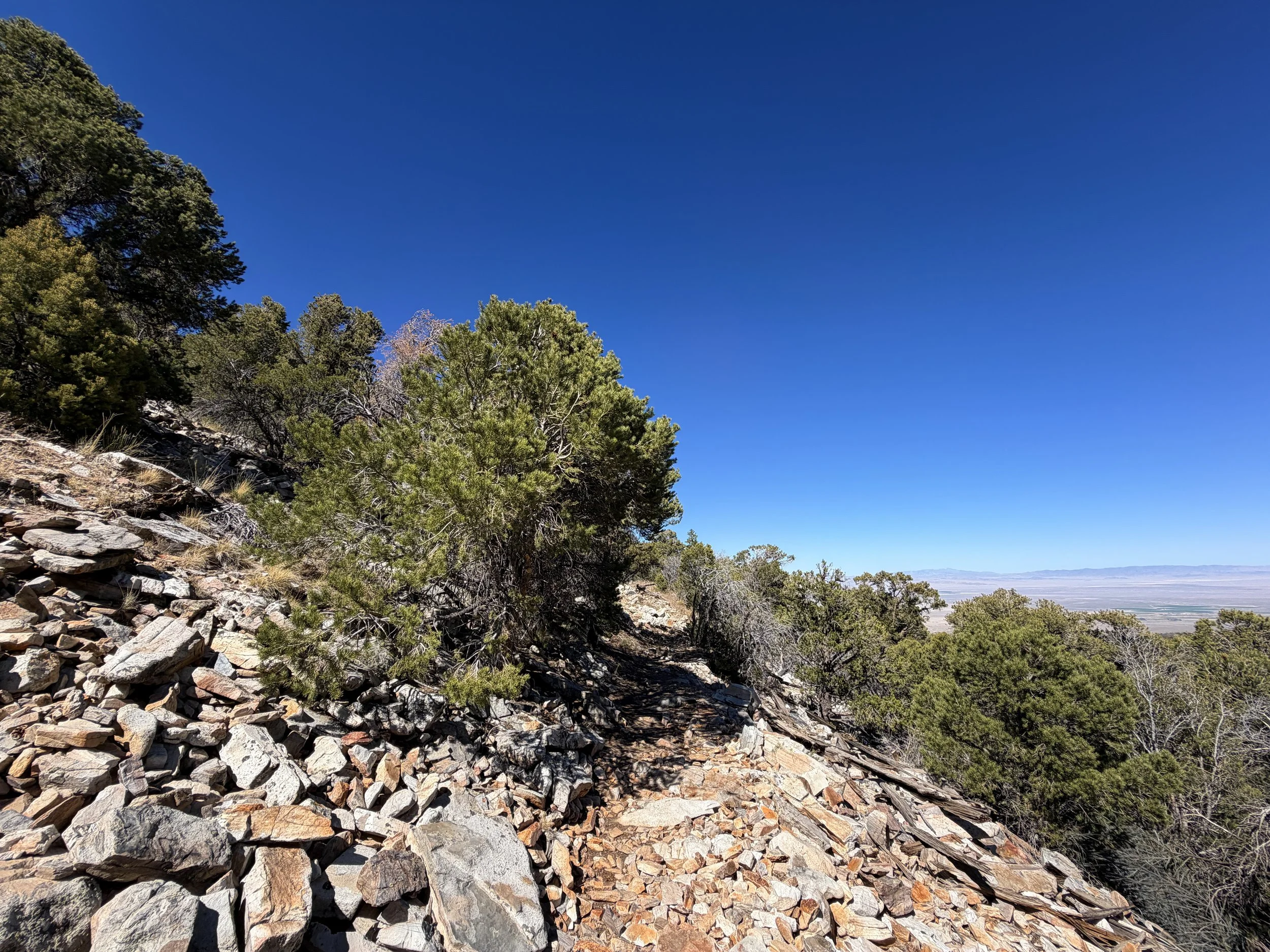 Osceola Ditch Trail Great Basin National Park Nevada