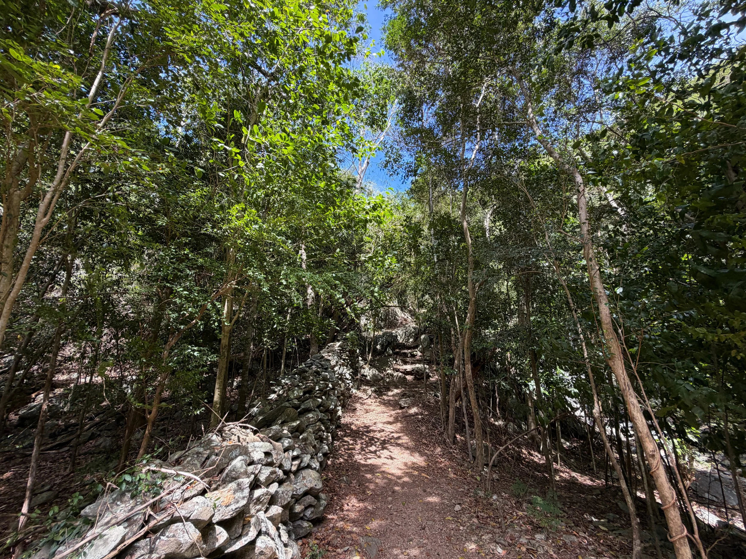 Petroglyphs Trail Virgin Islands National Park