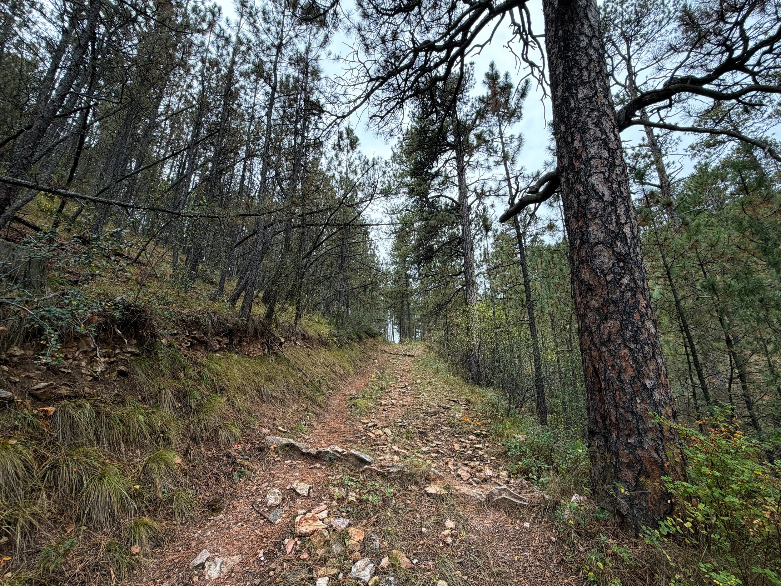 Highland Creek Trail to Lookout Point Loop Wind Cave National Park South Dakota