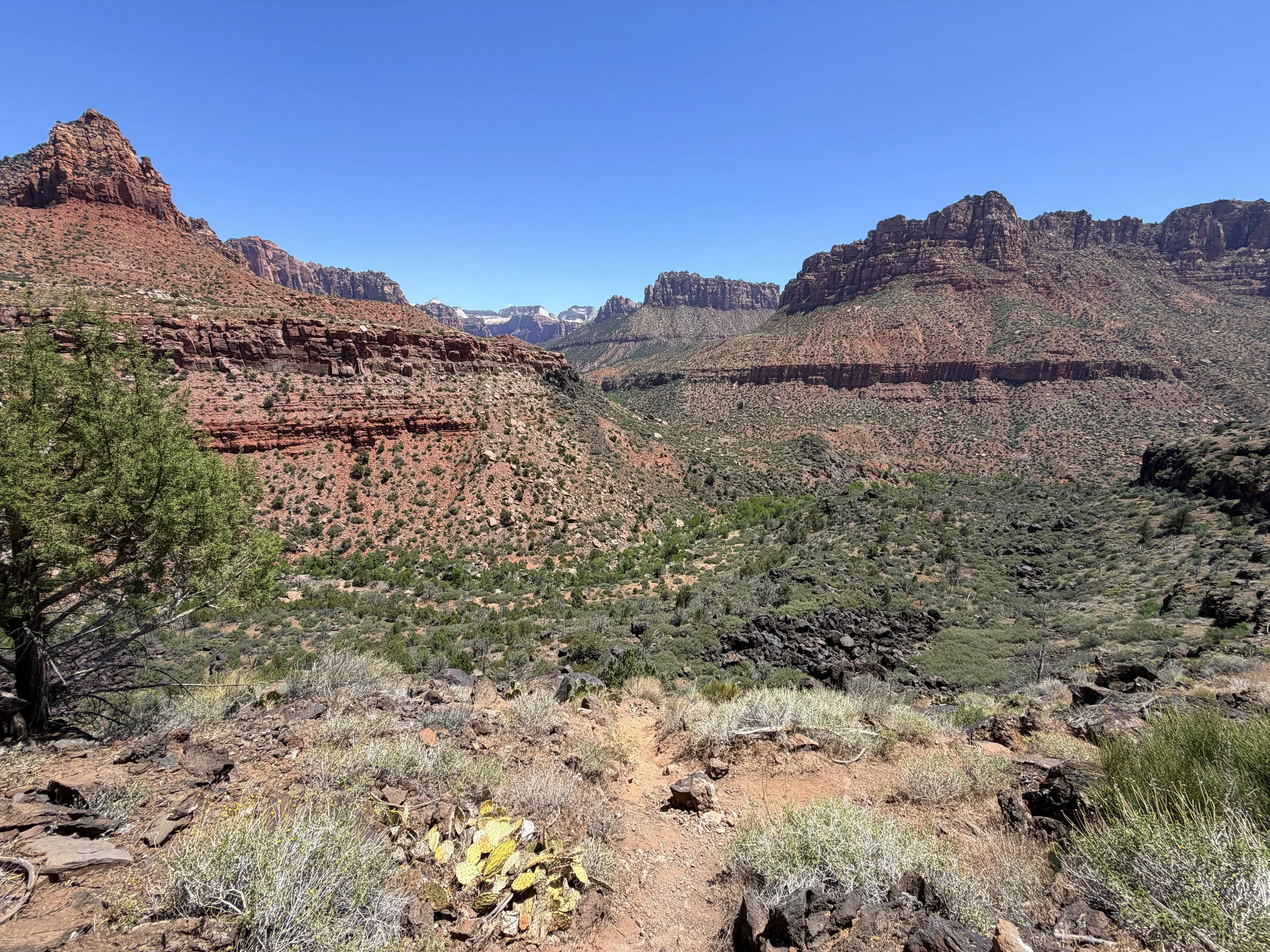 Grapevine Trail Zion National Park Utah