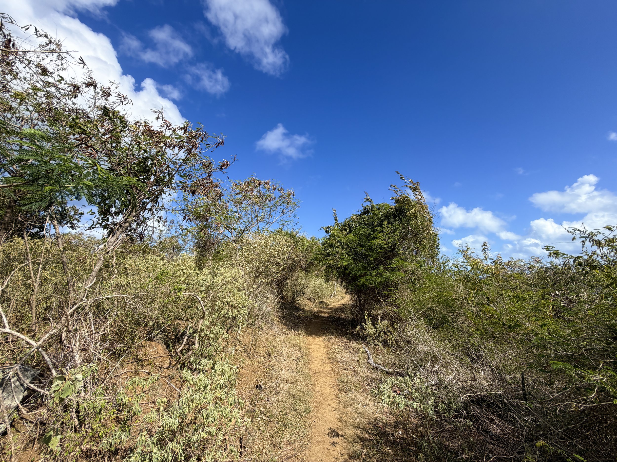 Windy Hill Trail Virgin Islands National Park