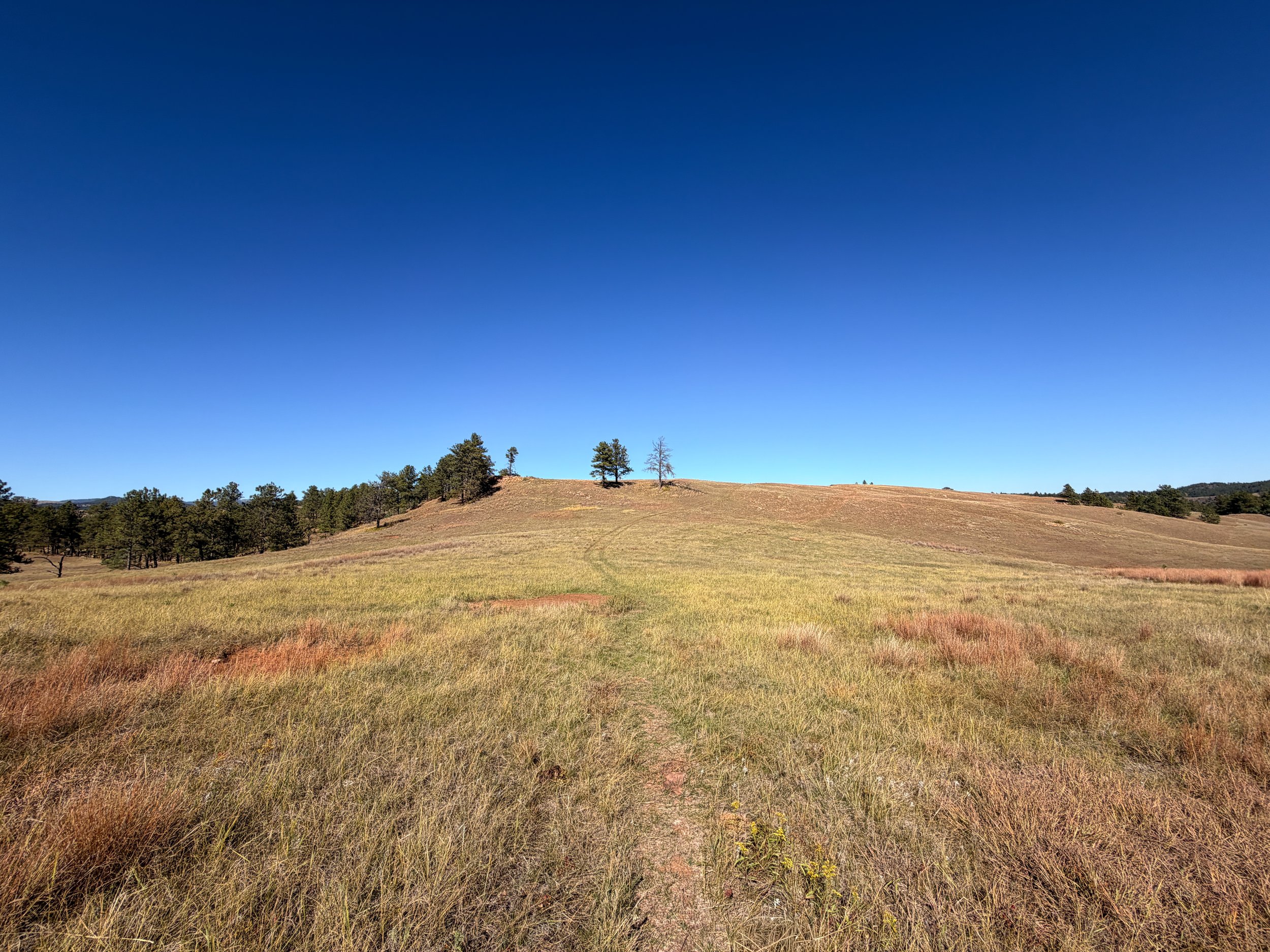 East Bison Flats Trail Wind Cave National Park South Dakota