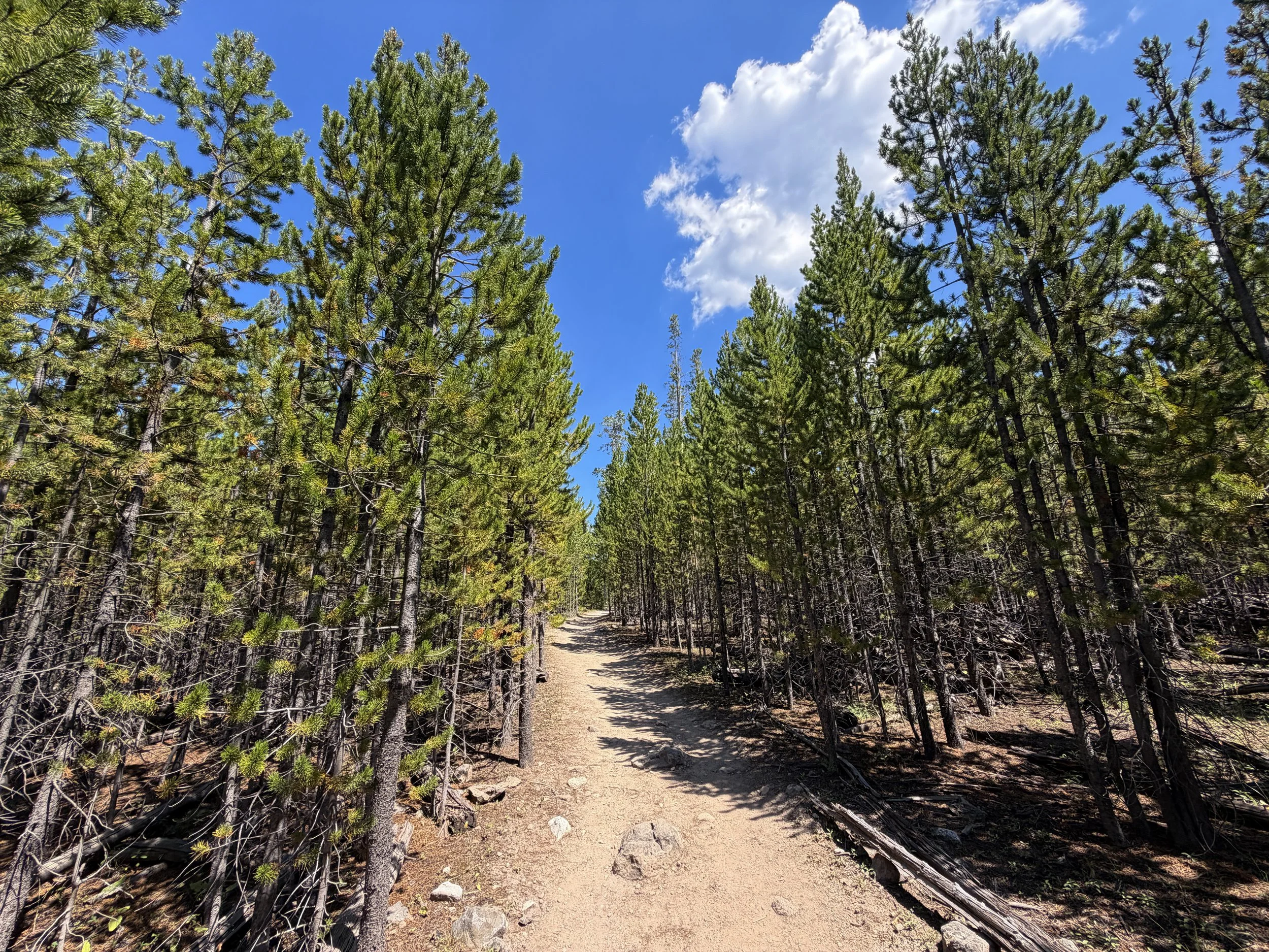 Bunsen Peak Trail Yellowstone National Park Wyoming