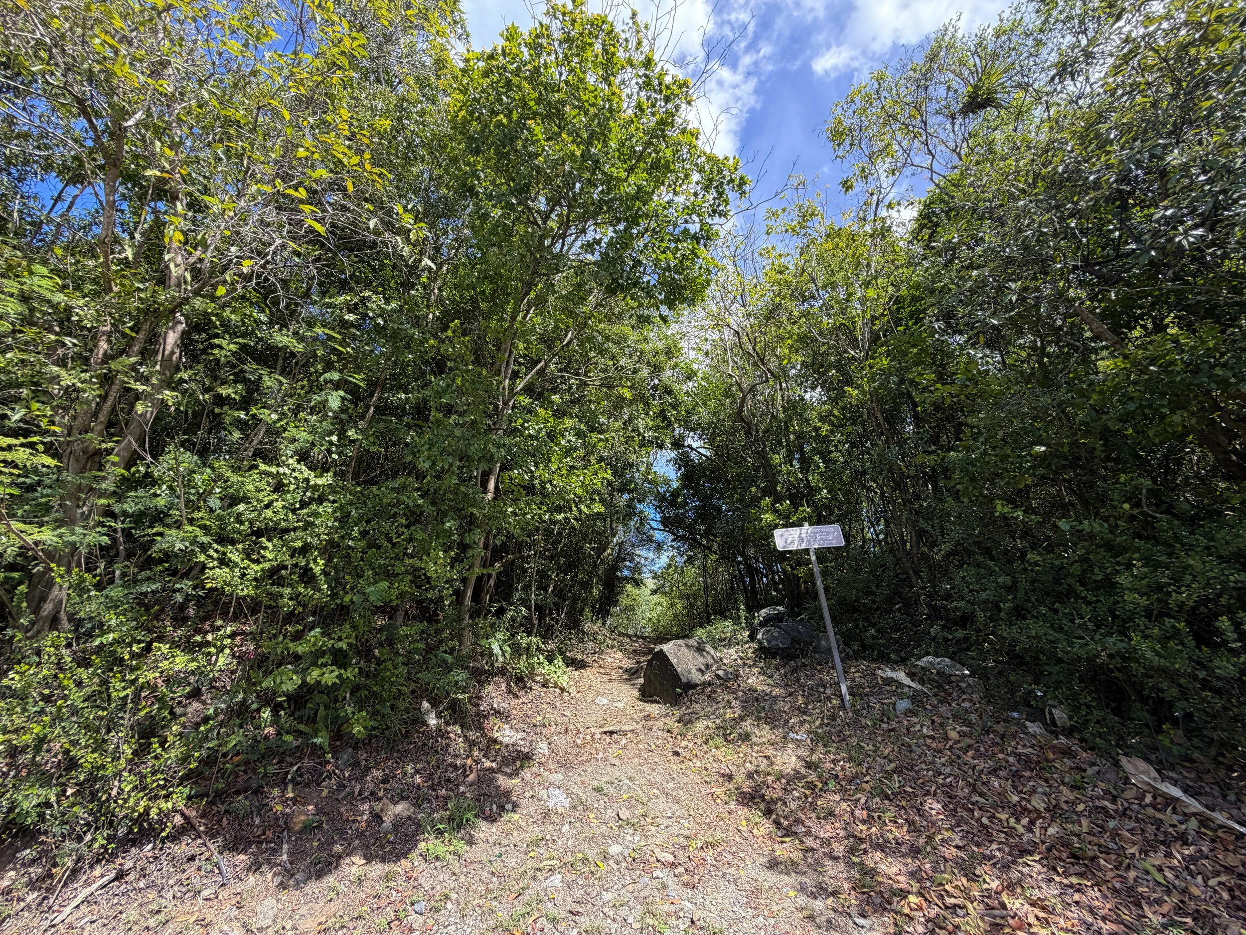 Water Catchment Trailhead Virgin Islands National Park
