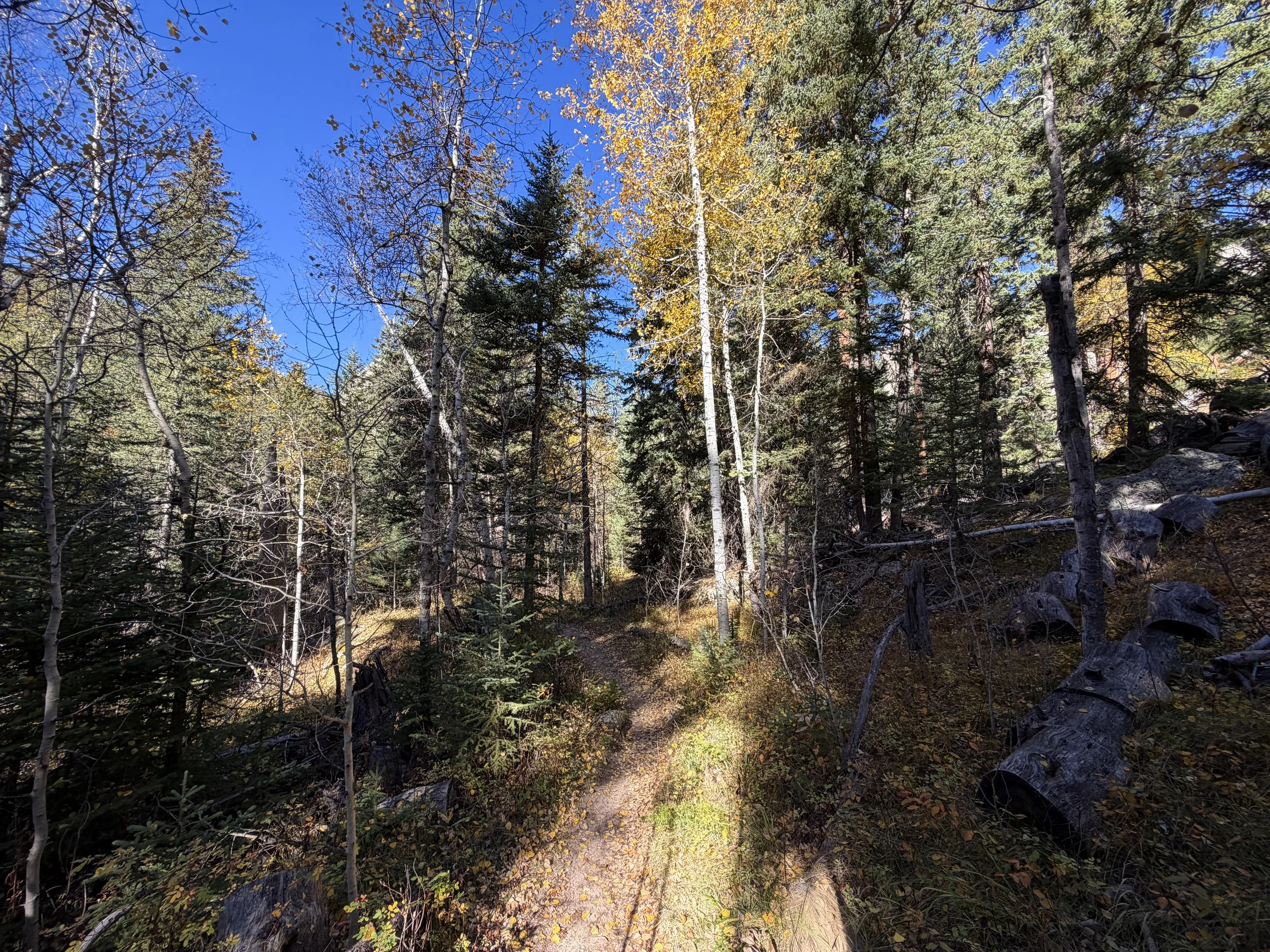 Sunday Gulch Loop Hike Custer State Park Black Hills South Dakota