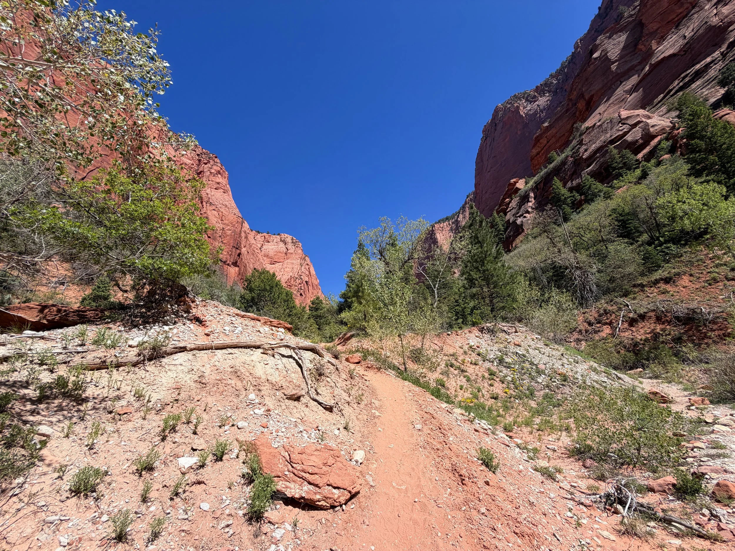 Taylor Creek Trail to Double Arch Alcove Zion National Park Utah