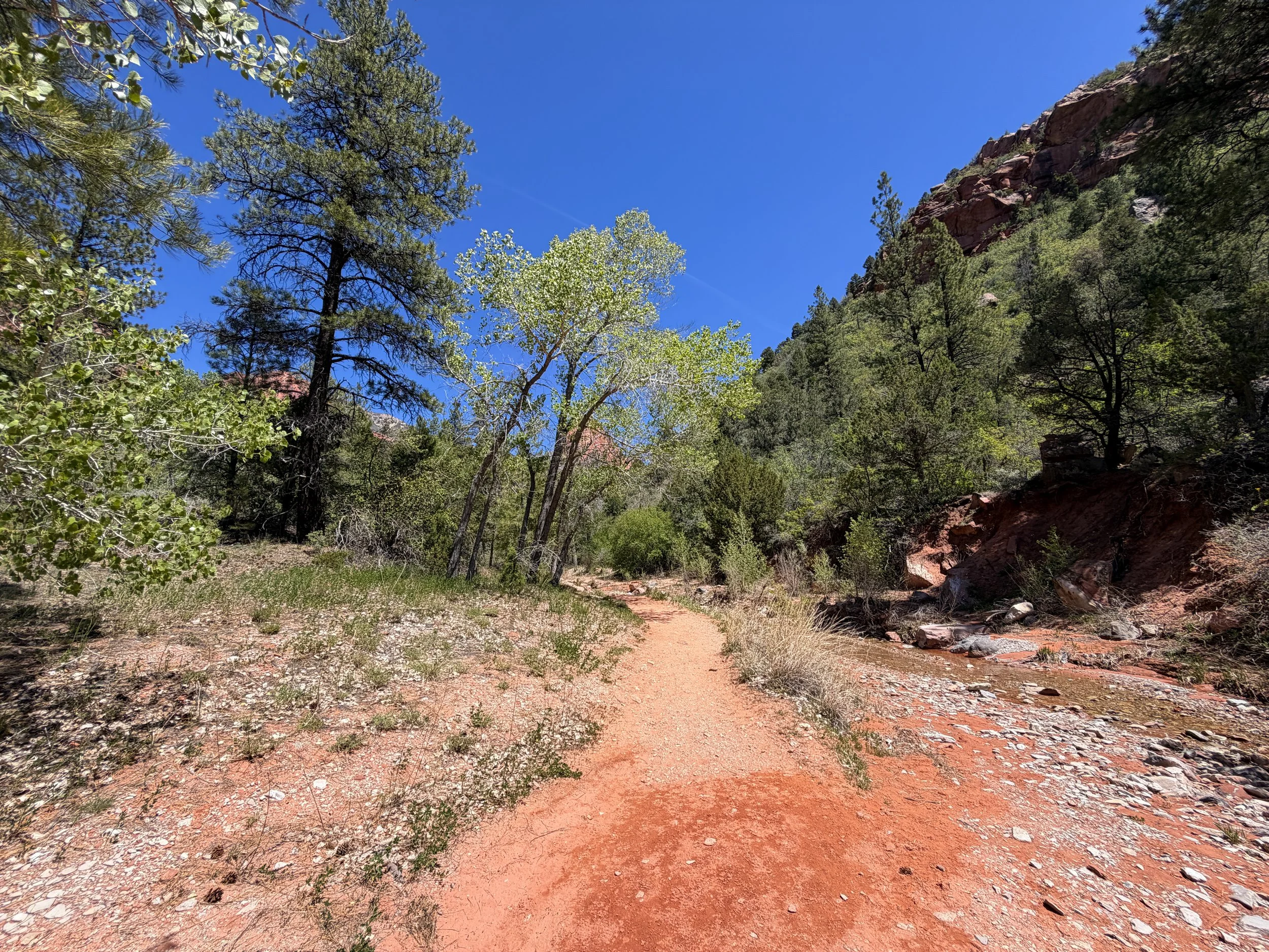 Middle Taylor Creek Trail Zion National Park Utah