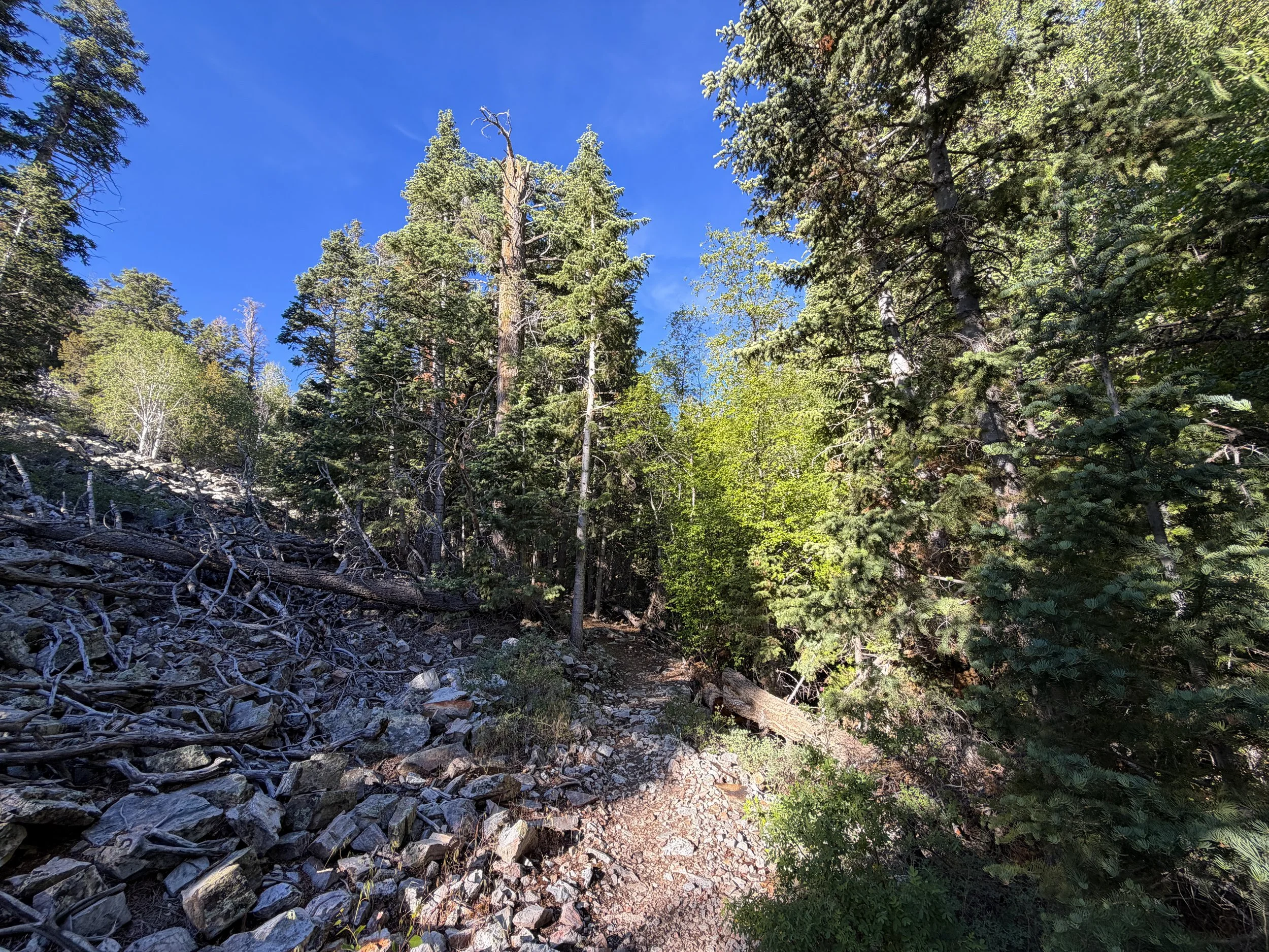 Pole Canyon Loop Trail Great Basin National Park Nevada