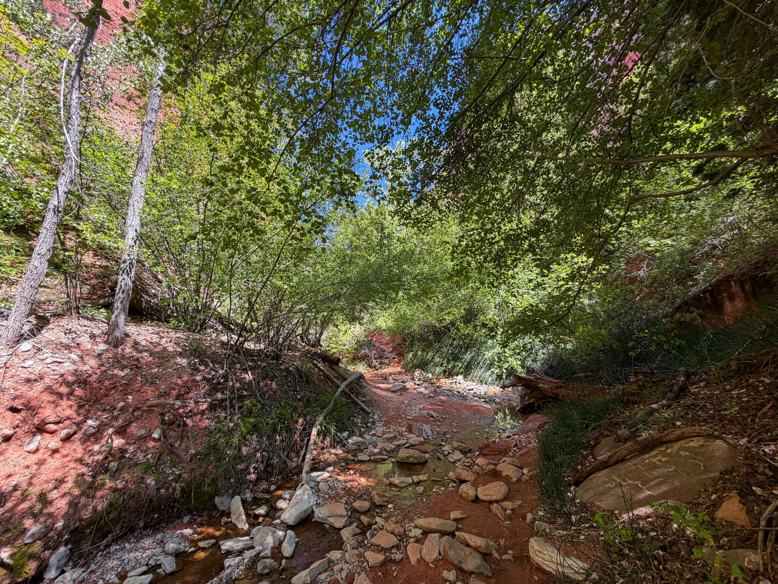 Taylor Creek Hike Zion National Park Utah