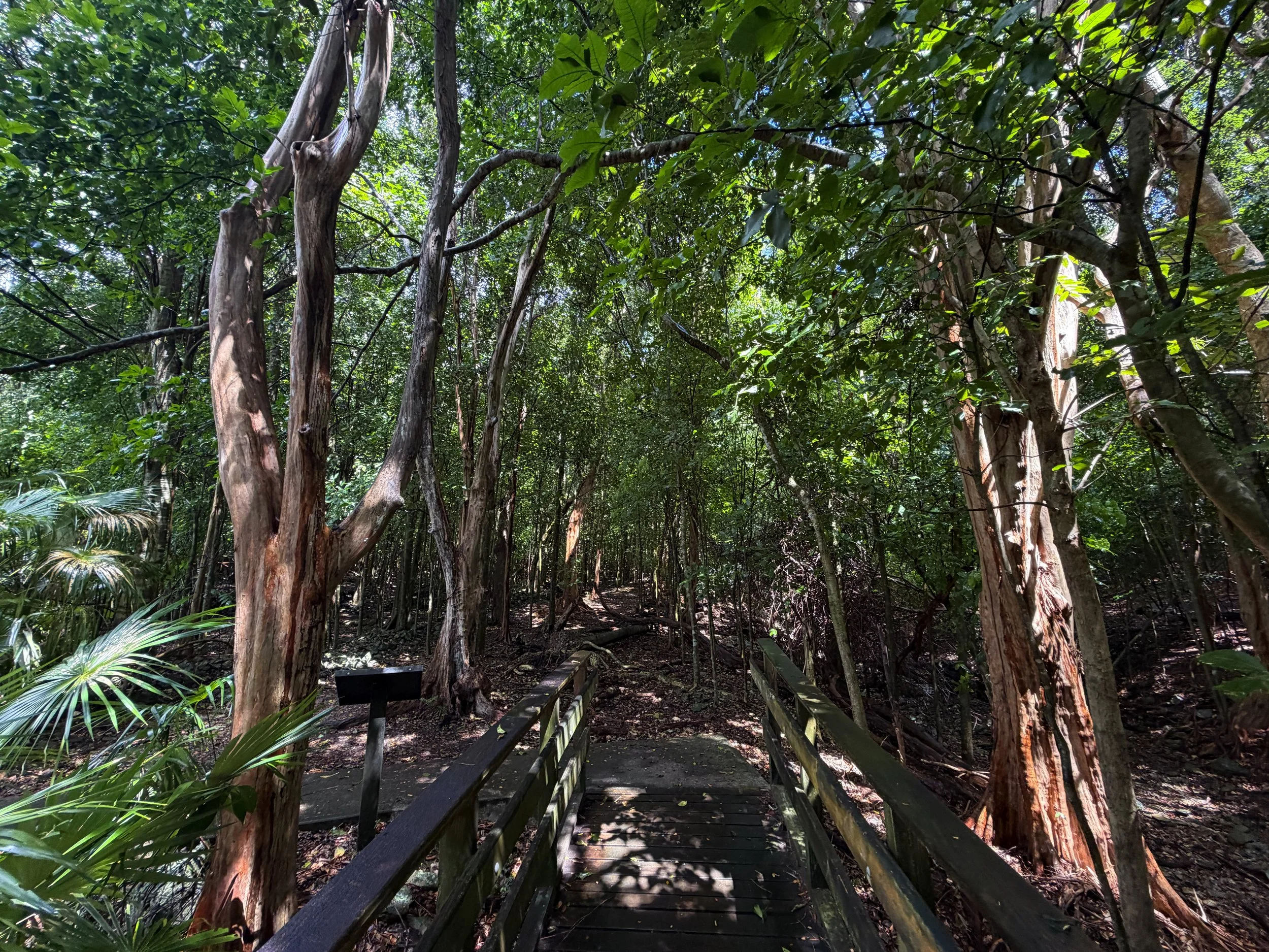 Cinnamon Bay Loop Trail Virgin Islands National Park