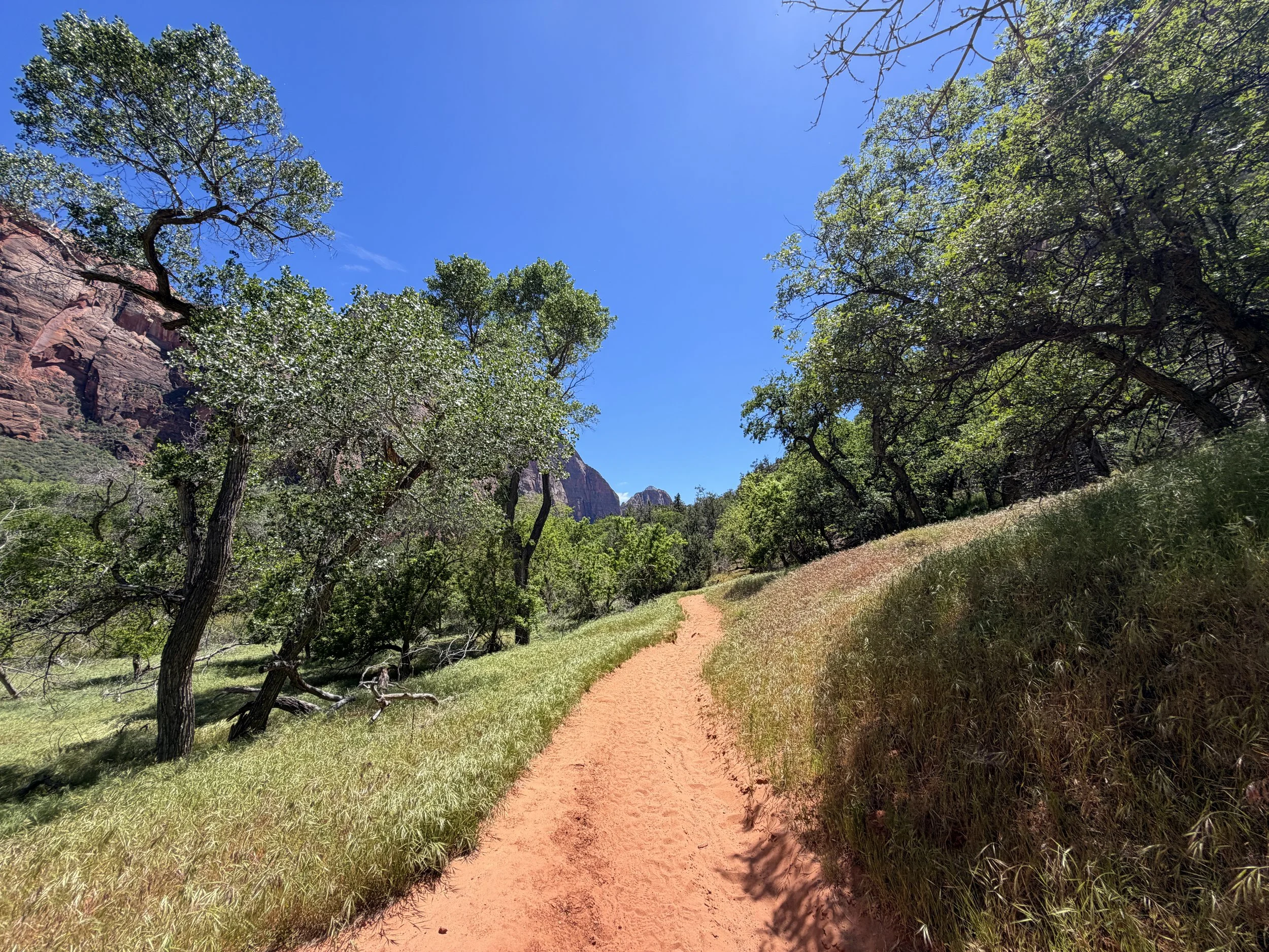Sand Bench Trail via Zion Lodge Zion National Park Utah