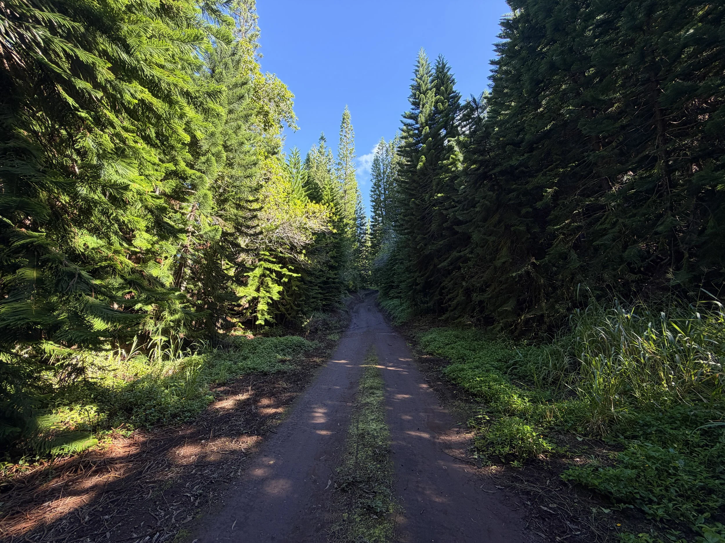 Peacock Flats Road to Mokuleia Trail Oahu Hawaii