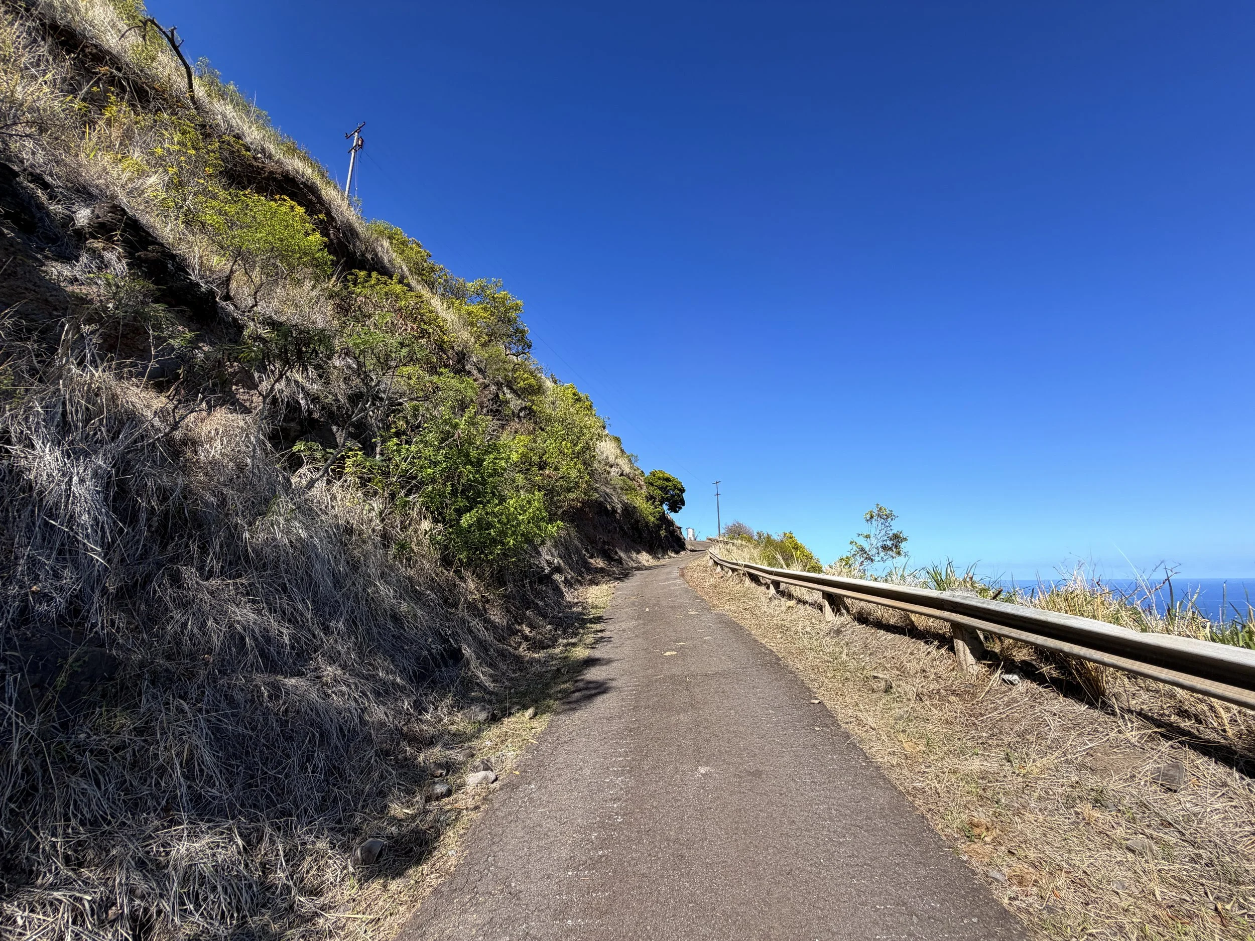 Mokuleia Forest Reserve Access Road Hike Oahu Hawaii