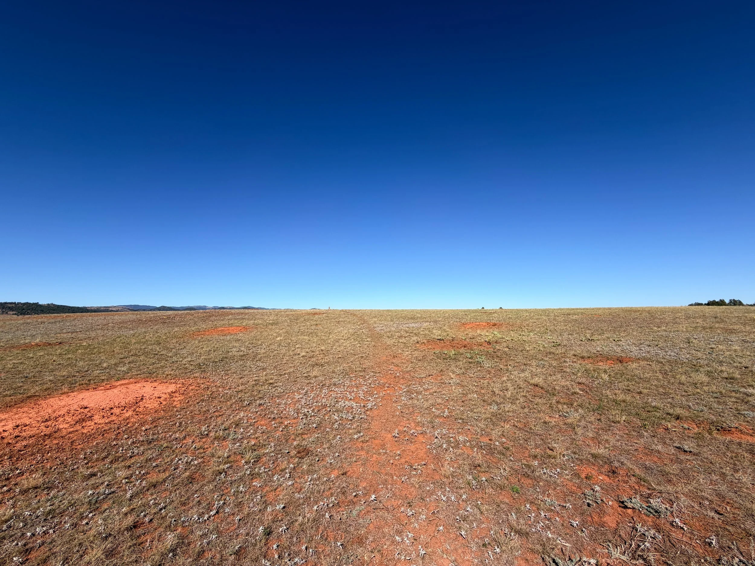 East Bison Flats Trail Wind Cave National Park South Dakota