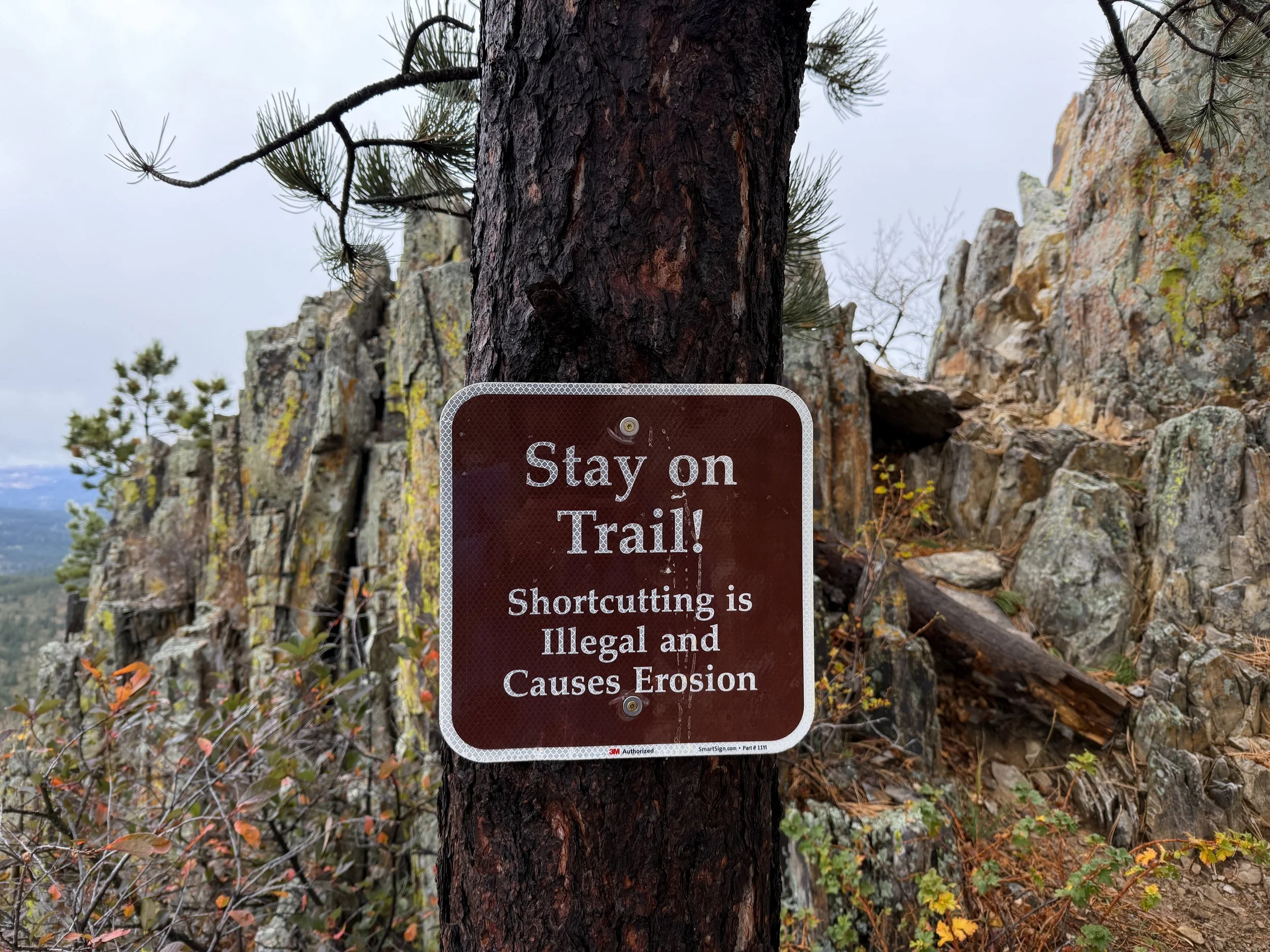 Custer Peak Trail Black Hills South Dakota