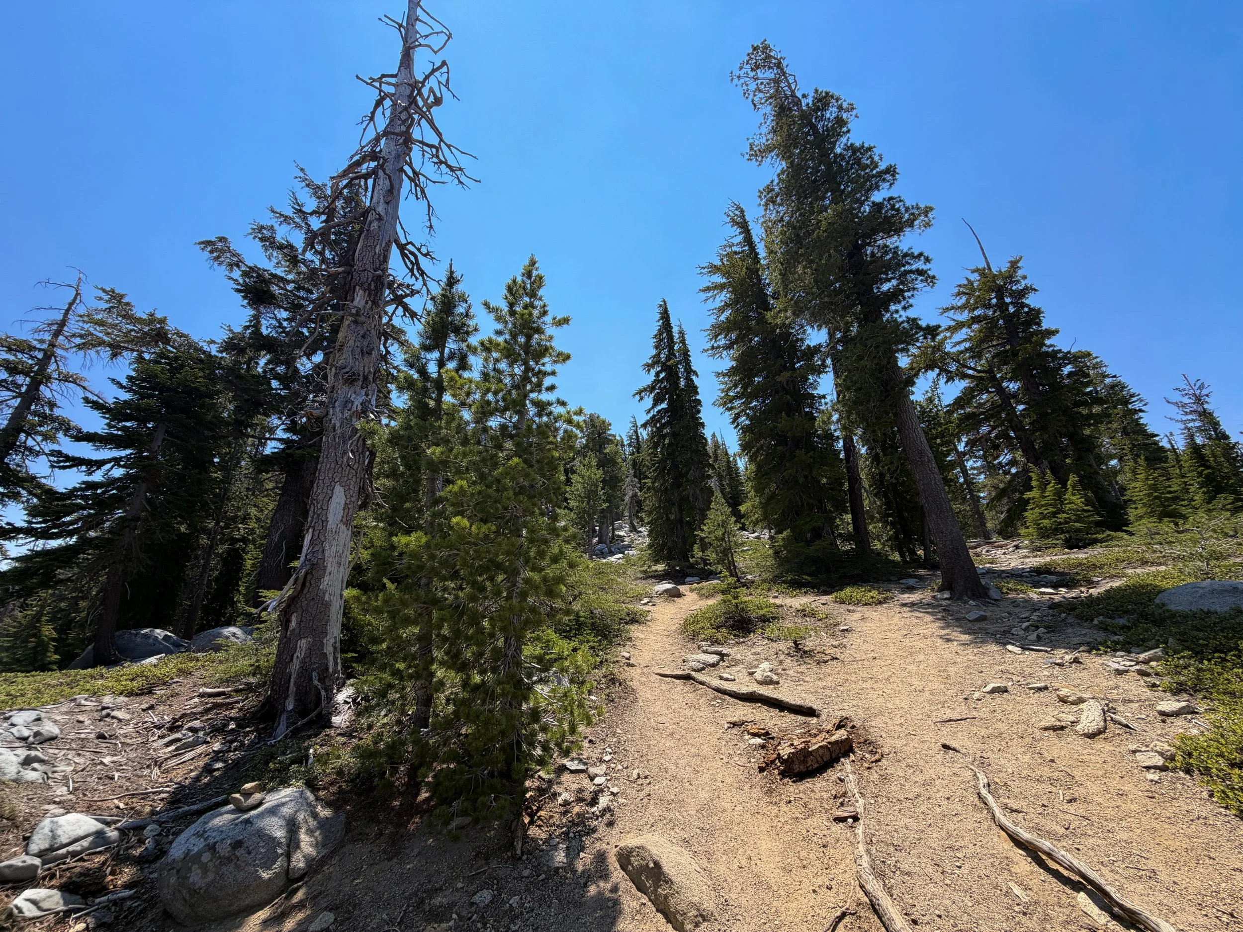 Maggies Peak Trail Lake Tahoe California