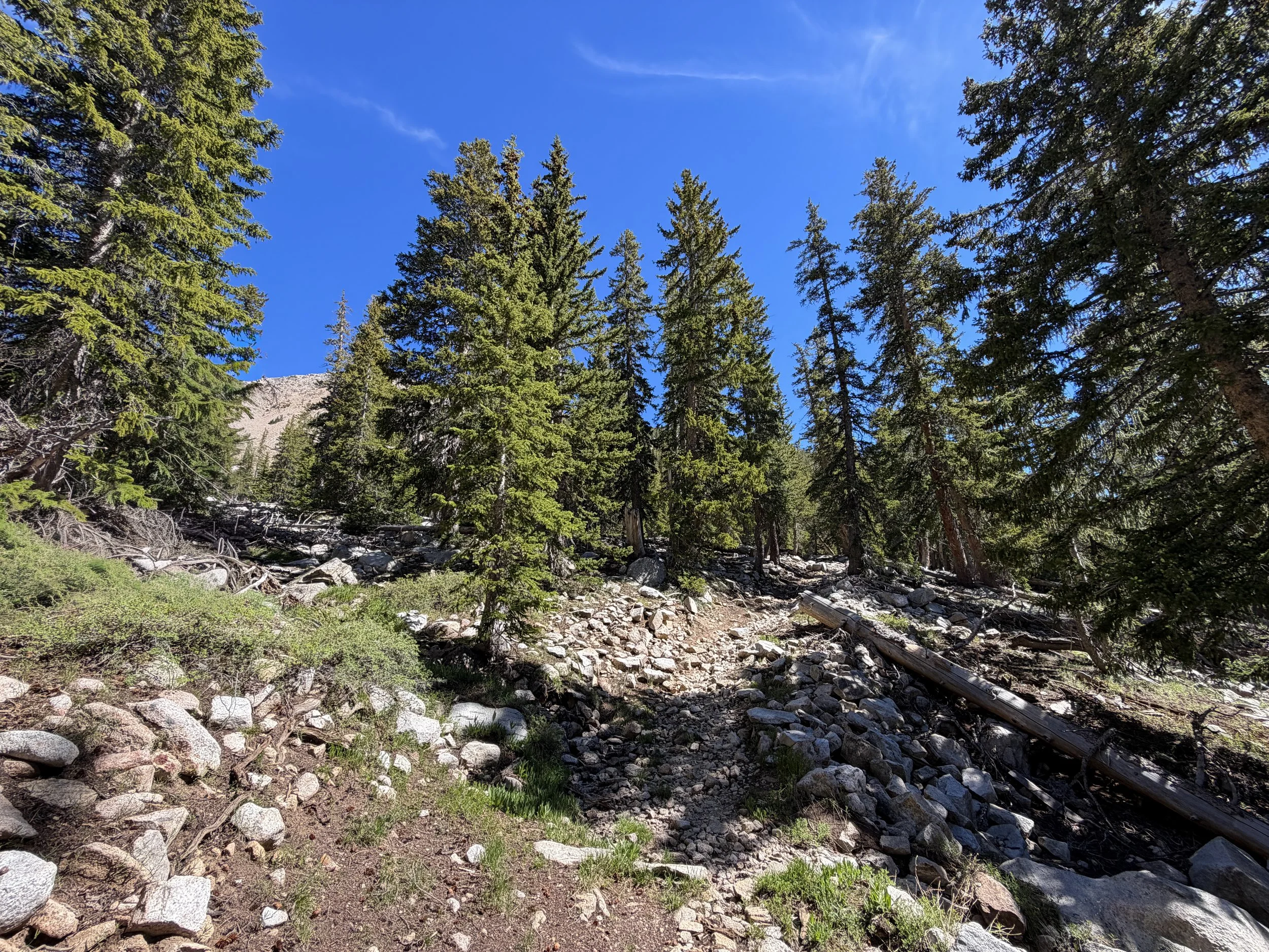 Johnson Lake Trail Great Basin National Park Nevada