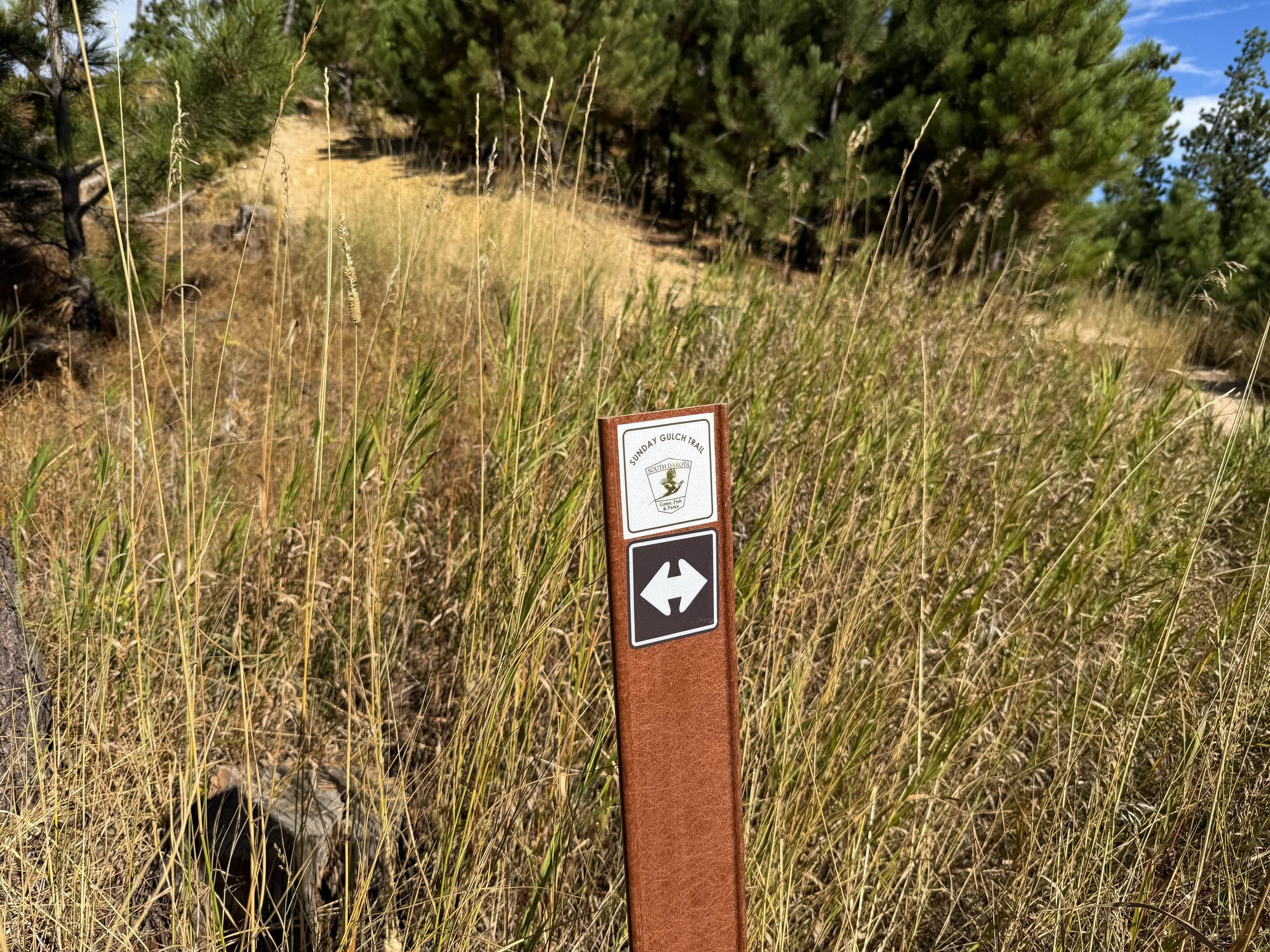 Sunday Gulch Trail Custer State Park Black Hills South Dakota