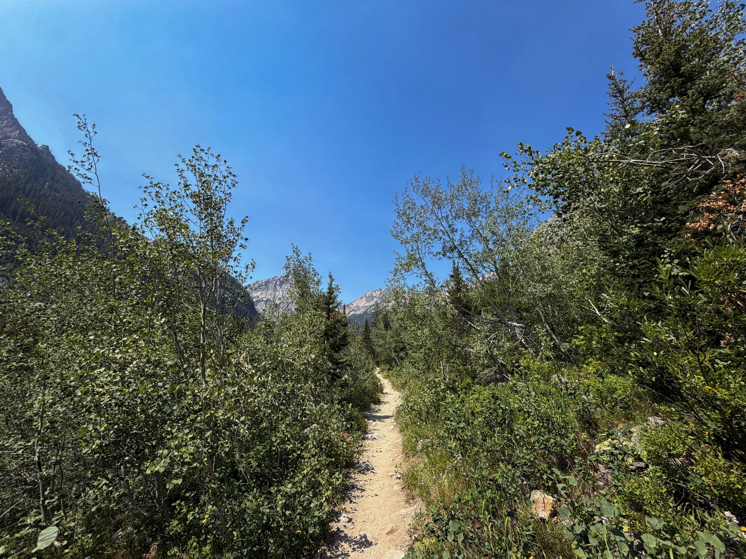 Cascade Canyon Trail Grand Teton National Park Wyoming