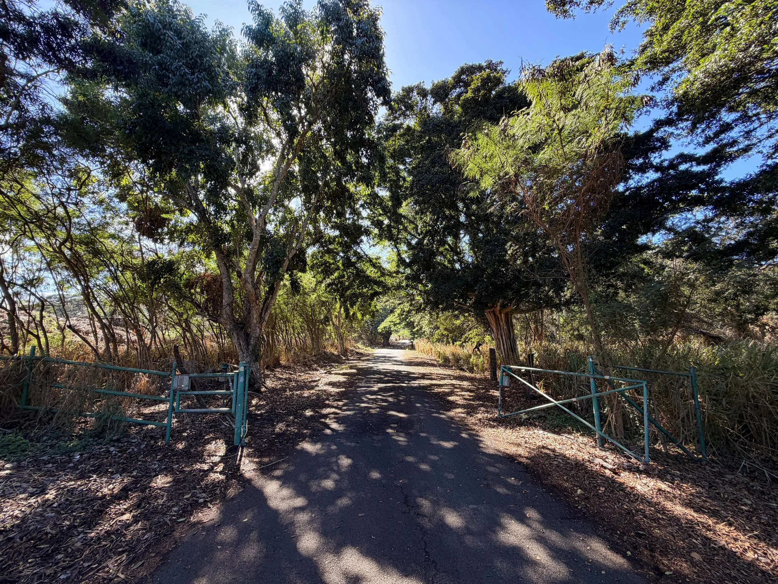 Mokuleia Forest Reserve Access Road Trail Oahu Hawaii