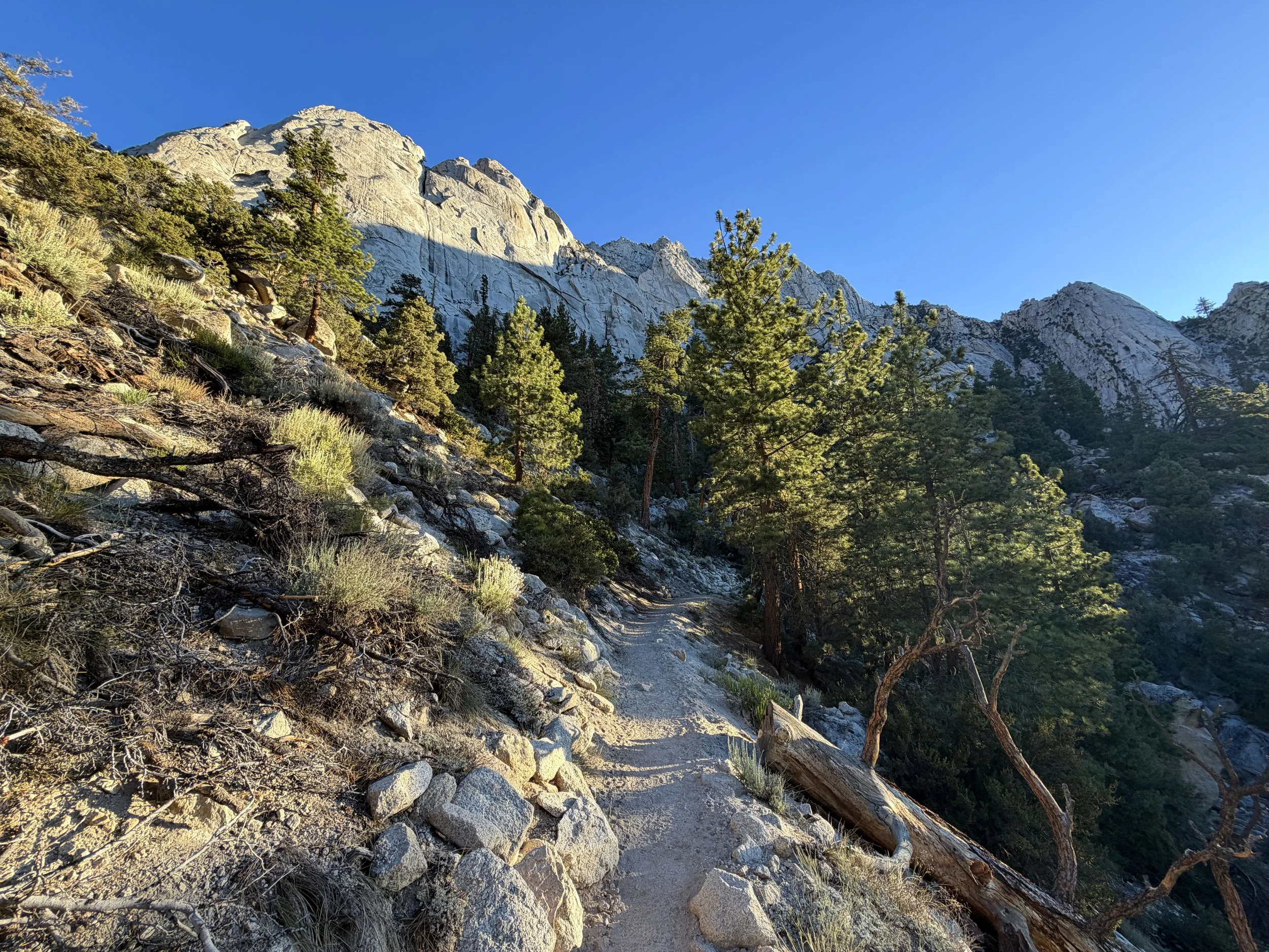 Mt. Whitney Trail Lone Pine California