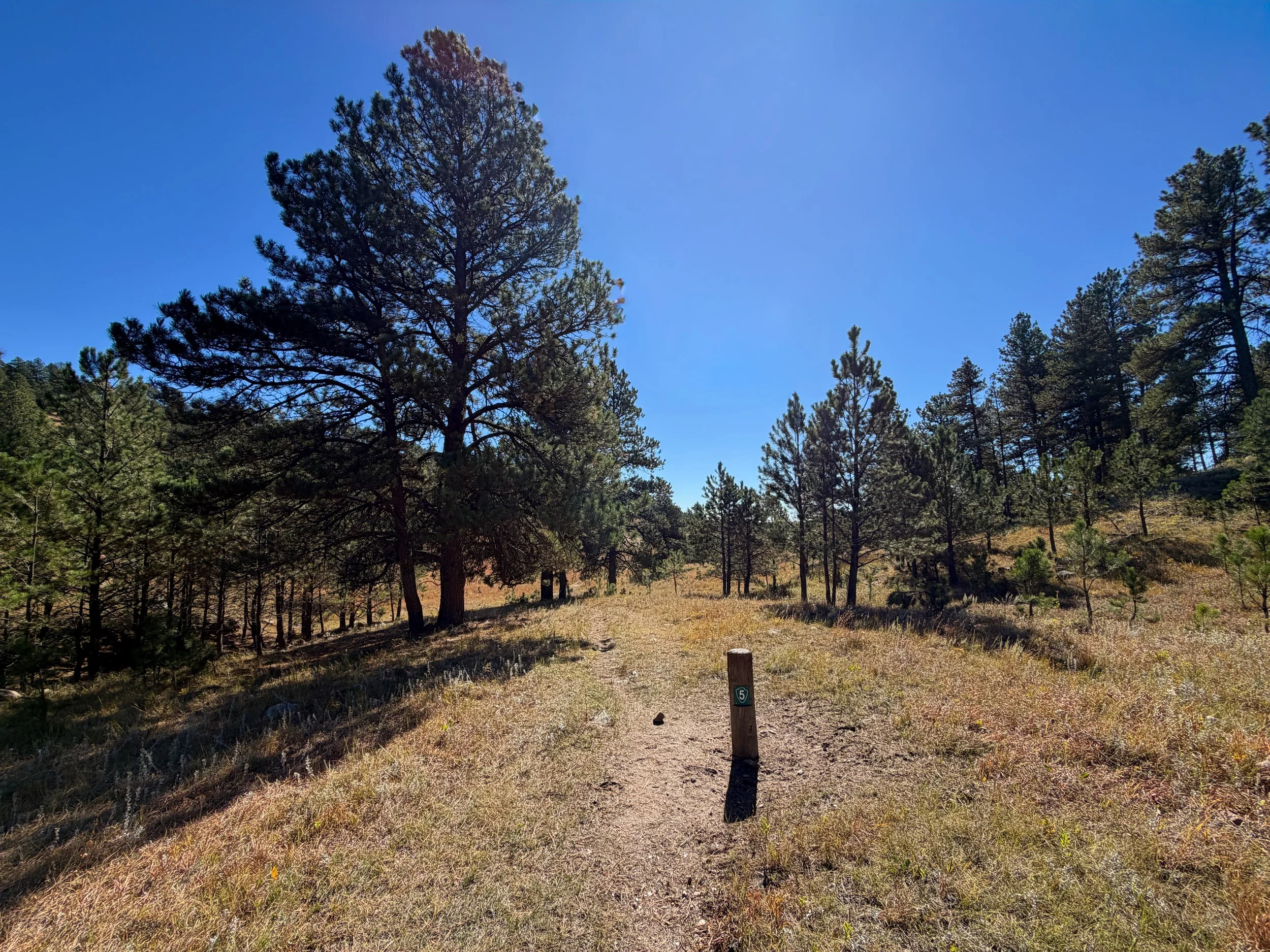Sanctuary Hike Wind Cave National Park South Dakota