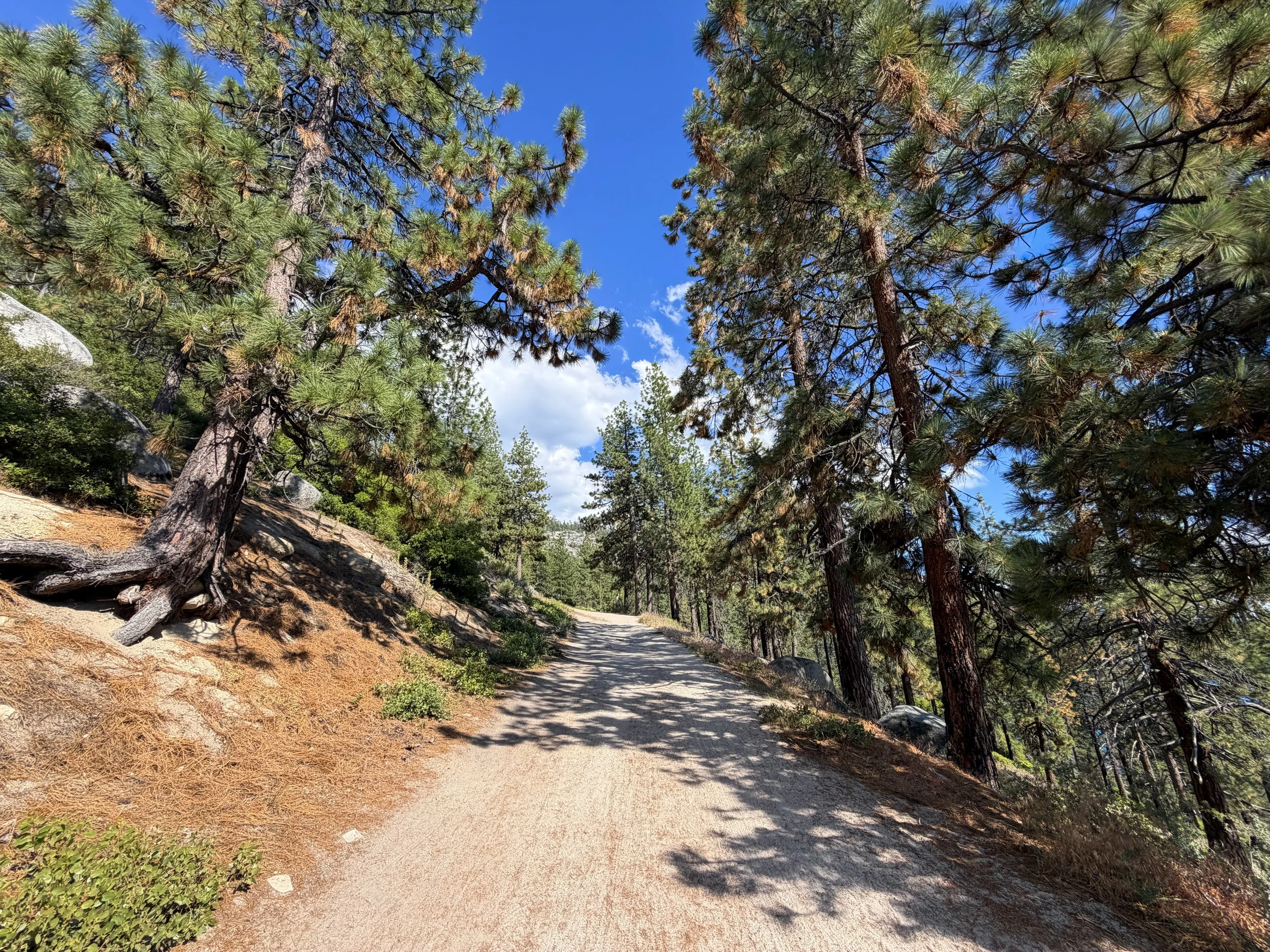 Monkey Rock Trail Lake Tahoe Nevada