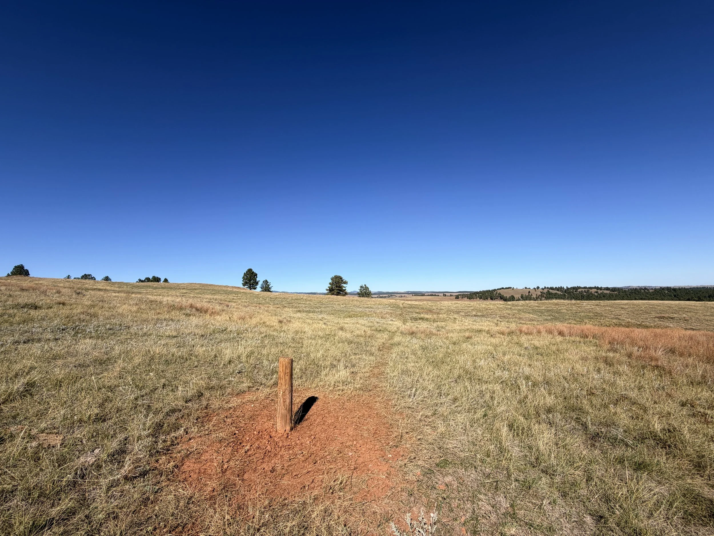 East Bison Flats Hike Wind Cave National Park South Dakota