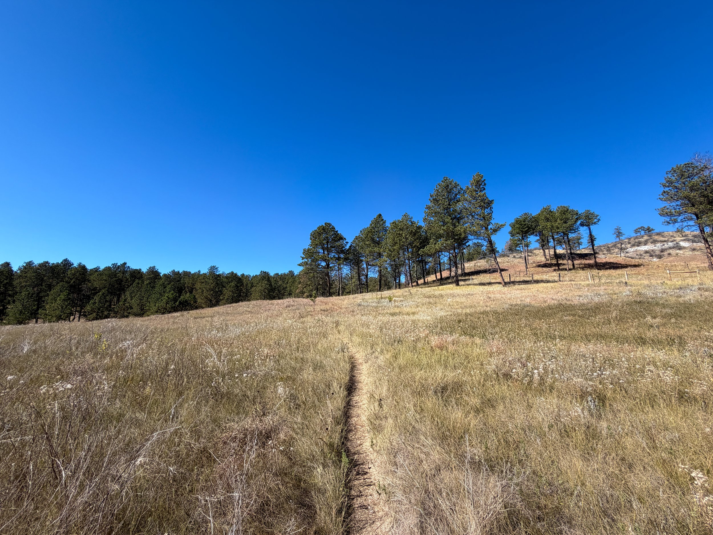 Elk Mountain Nature Loop Trail Wind Cave National Park South Dakota