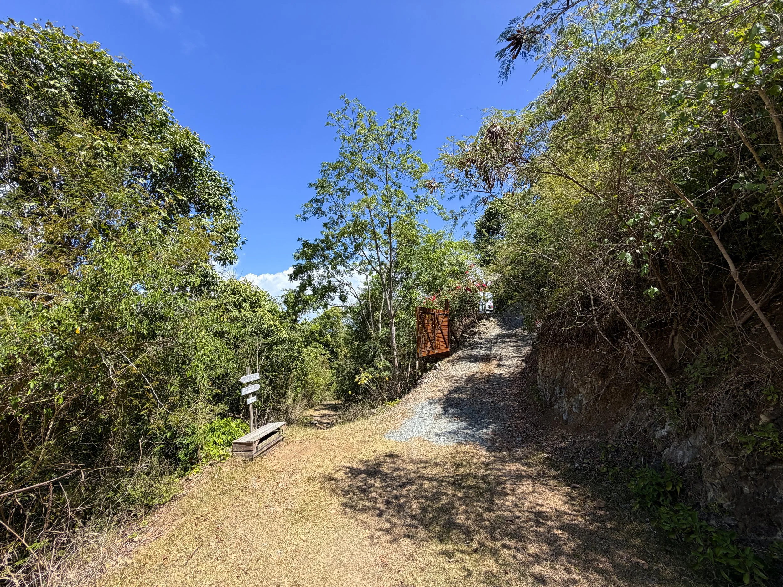 Johnny Horn Trailhead Virgin Islands National Park