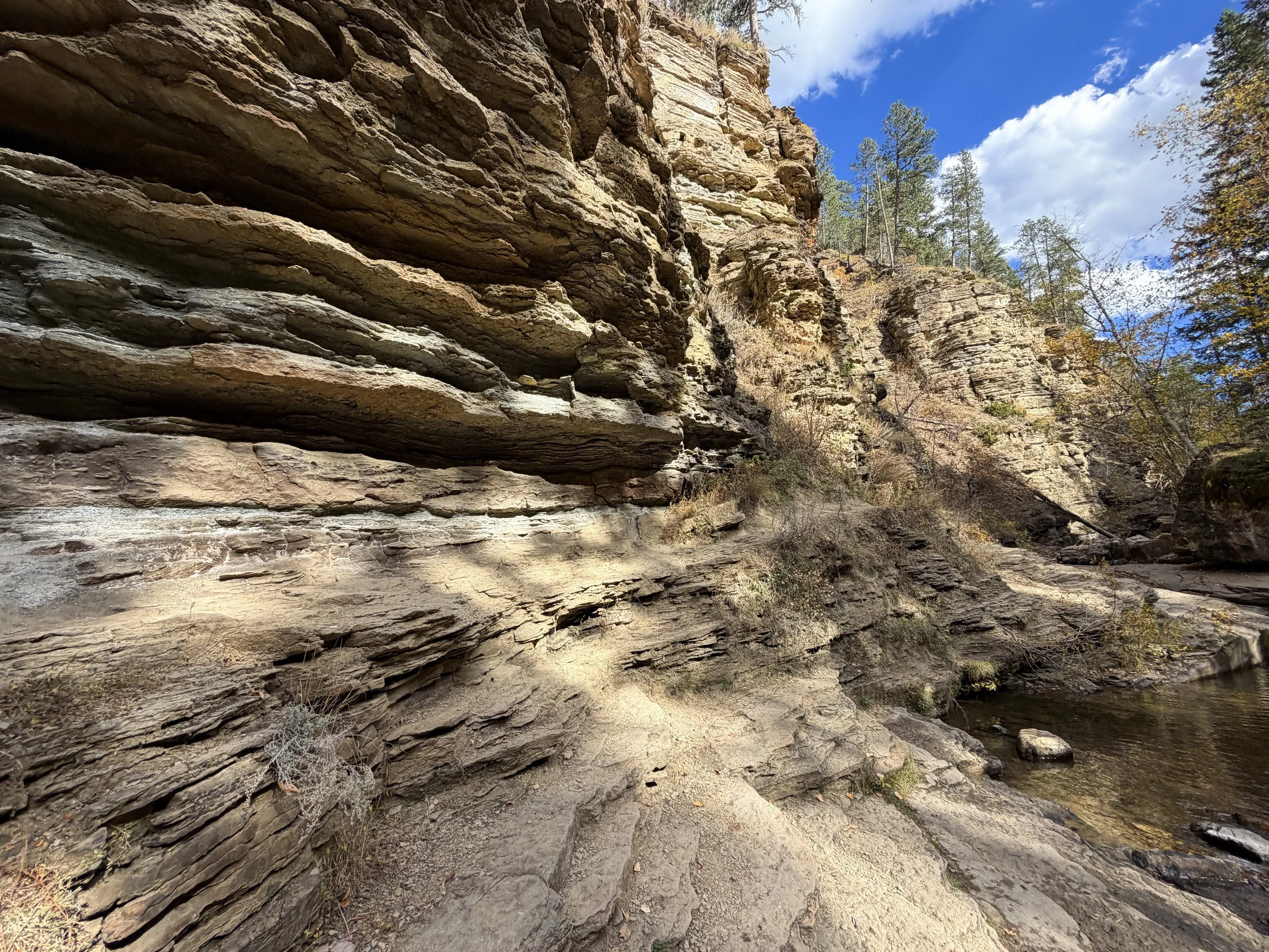 Devils Bathtub Trail Spearfish Canyon Black Hills South Dakota