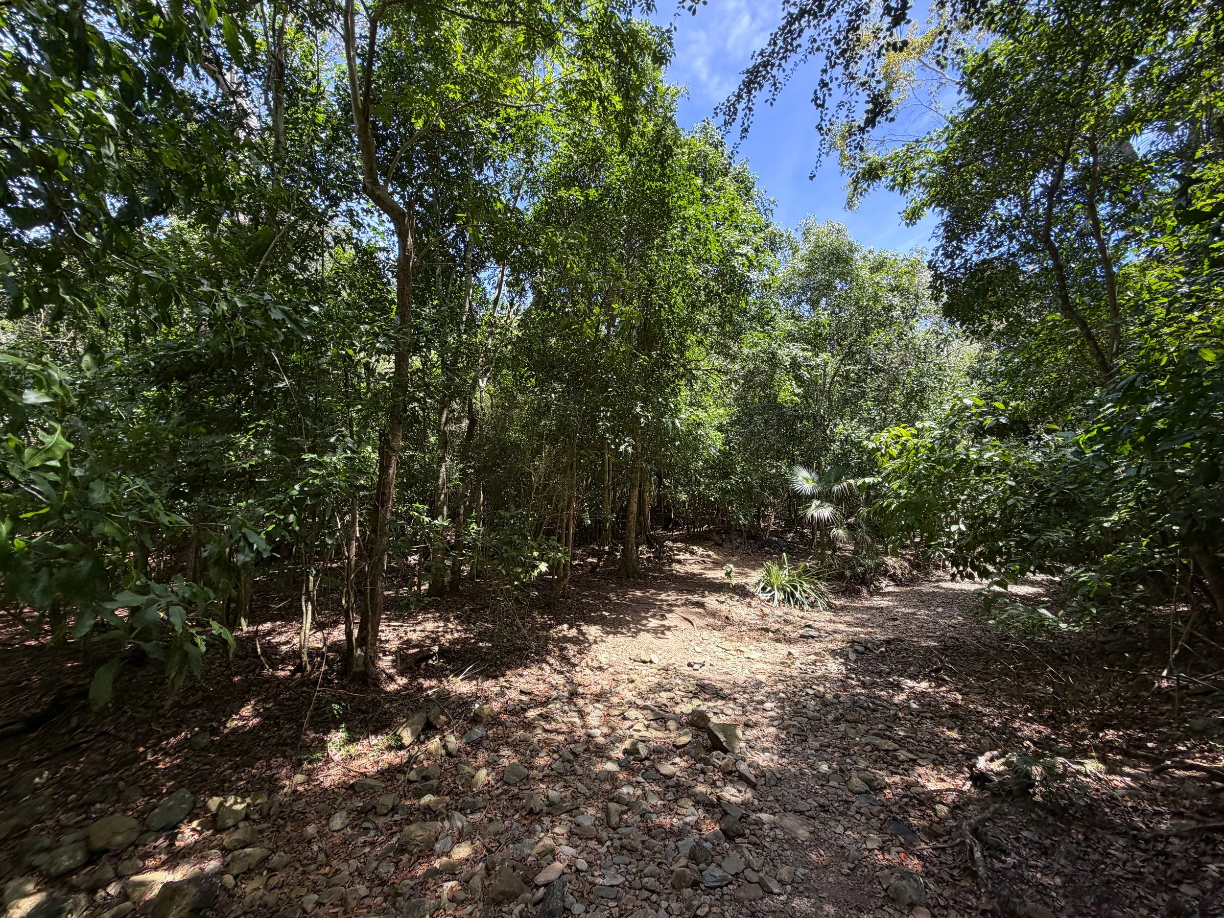 Lameshur Bay Trail to Petroglyphs Trail Virgin Islands National Park