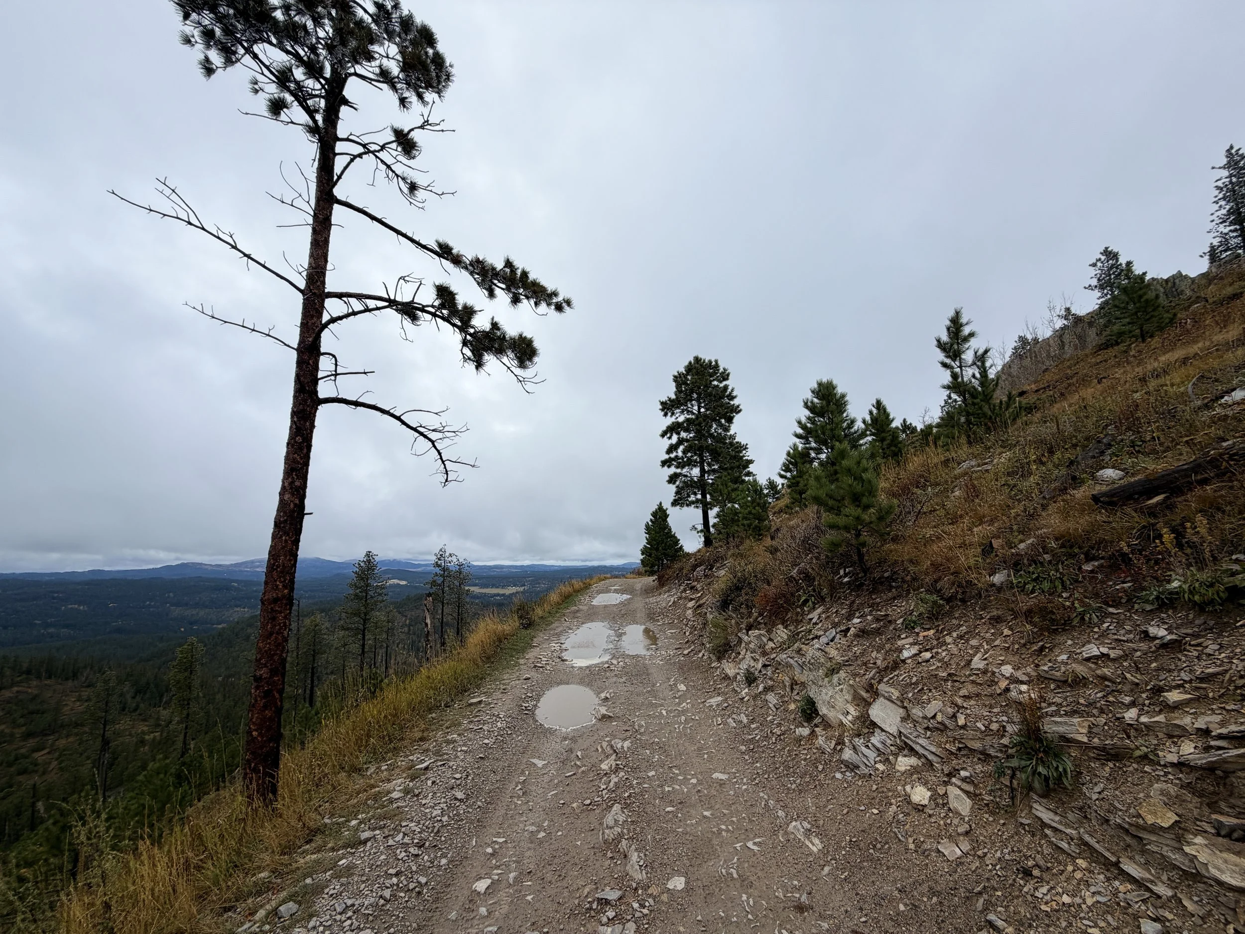 Custer Peak Trail Black Hills South Dakota