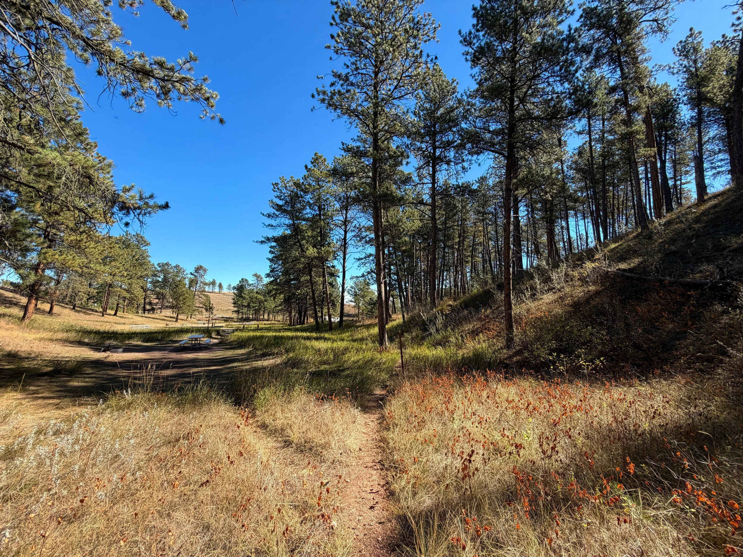 Elk Mountain Nature Trail Wind Cave National Park South Dakota