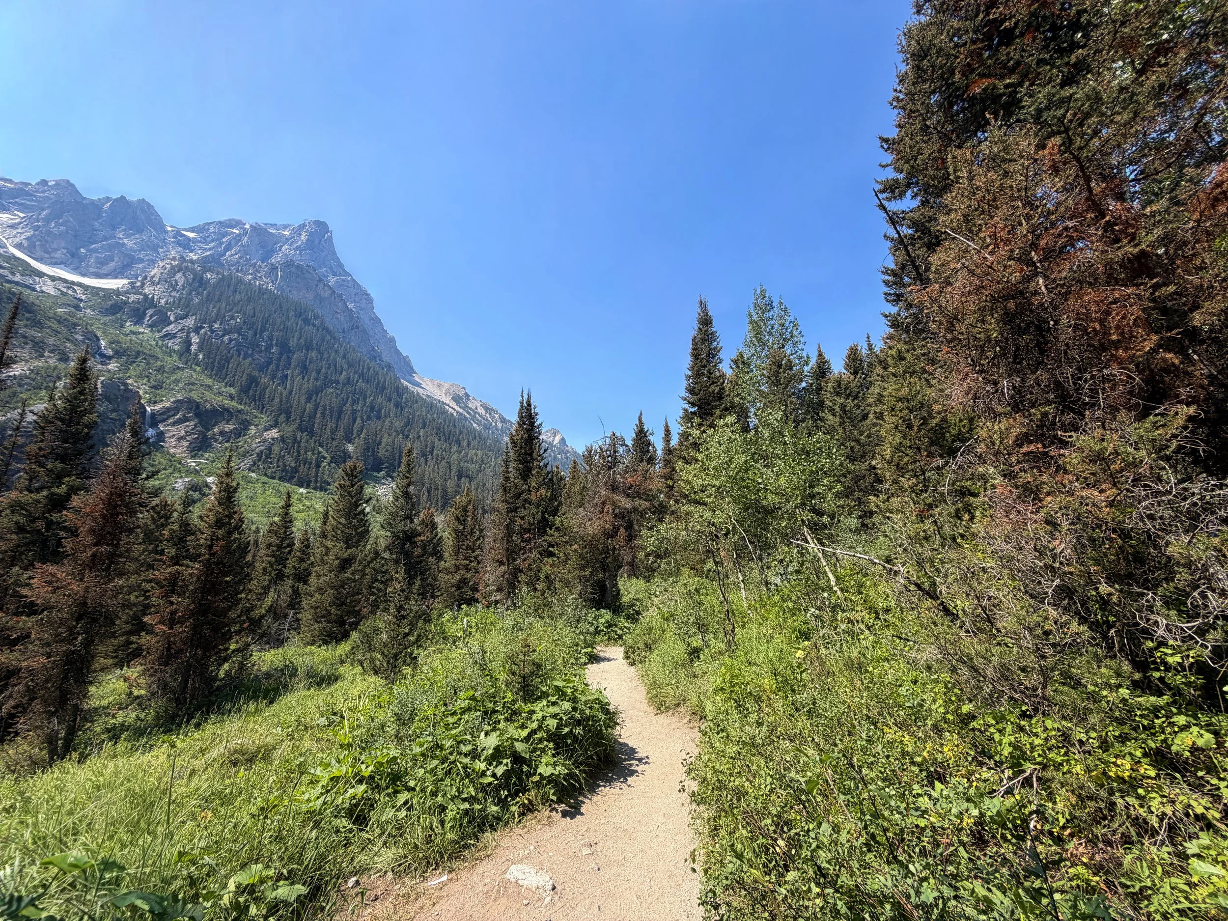 Cascade Canyon Trail Grand Teton National Park Wyoming
