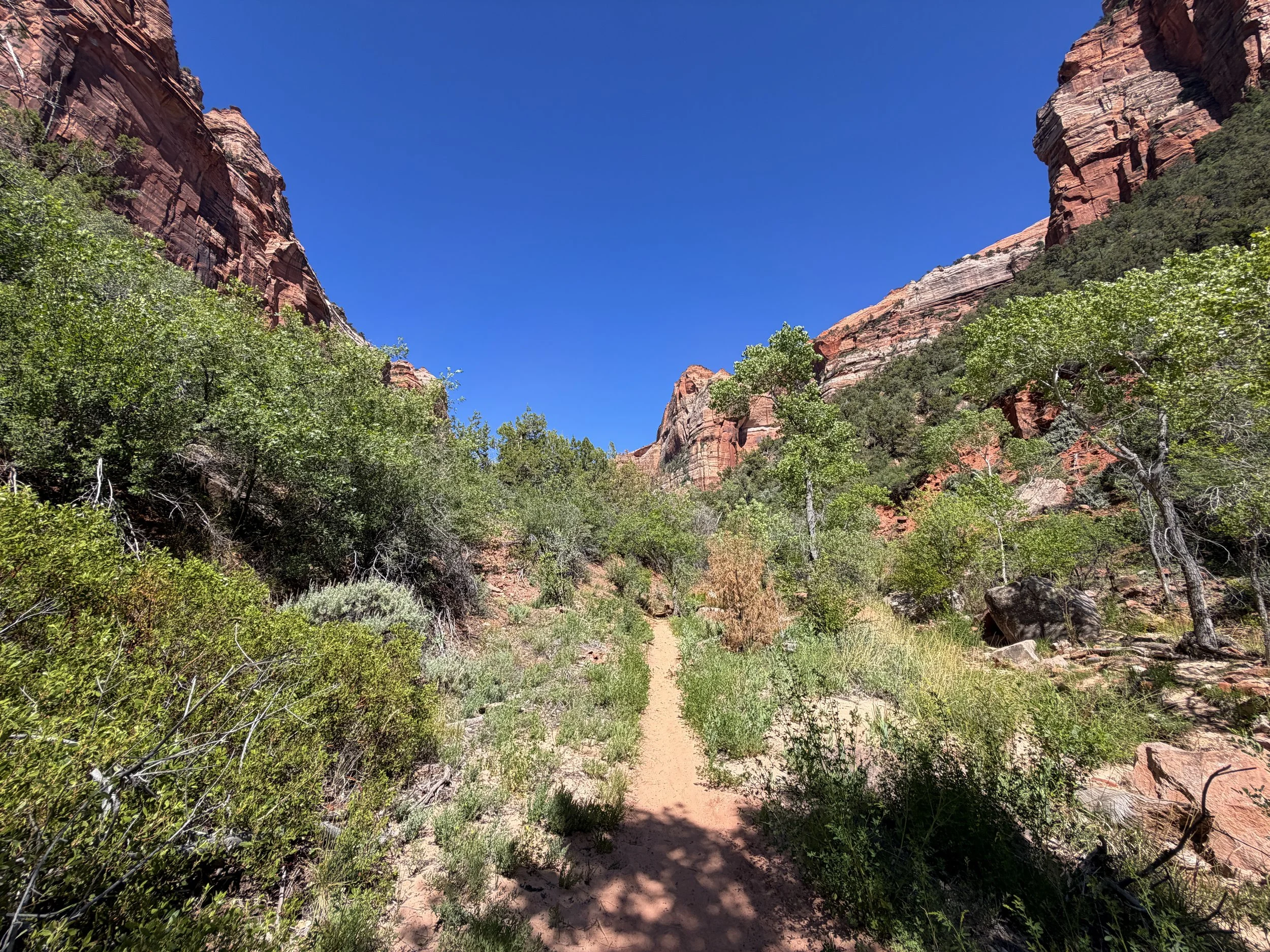 Subway Trail via Left Fork of the North Creek Zion National Park Utah