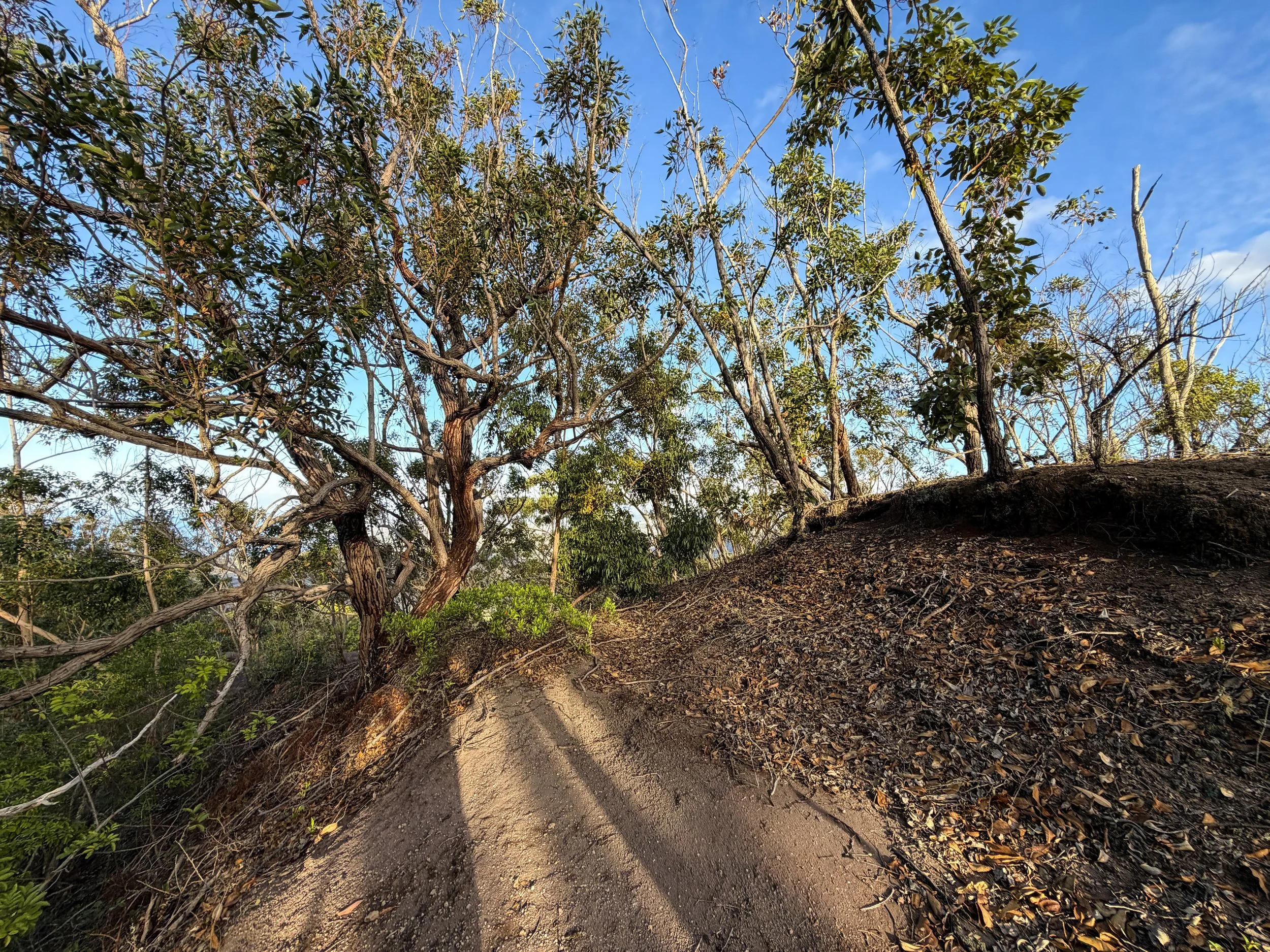 Mokuleia Trail Oahu Hawaii