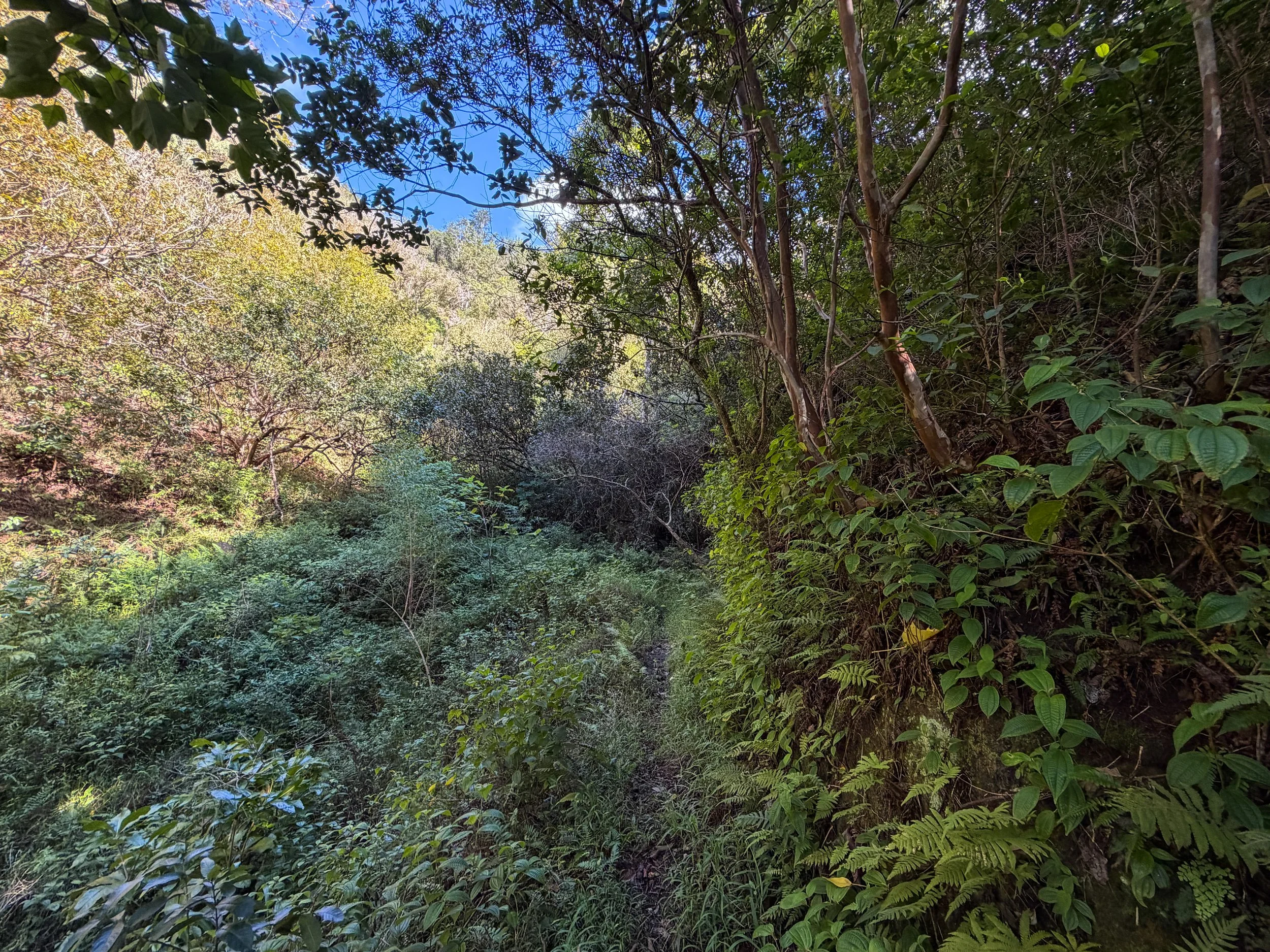 Mokuleia Trail Oahu Hawaii