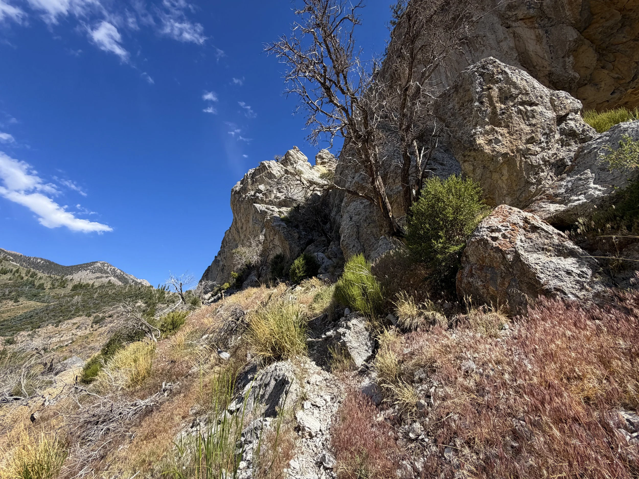 Lexington Arch Trail Great Basin National Park Nevada
