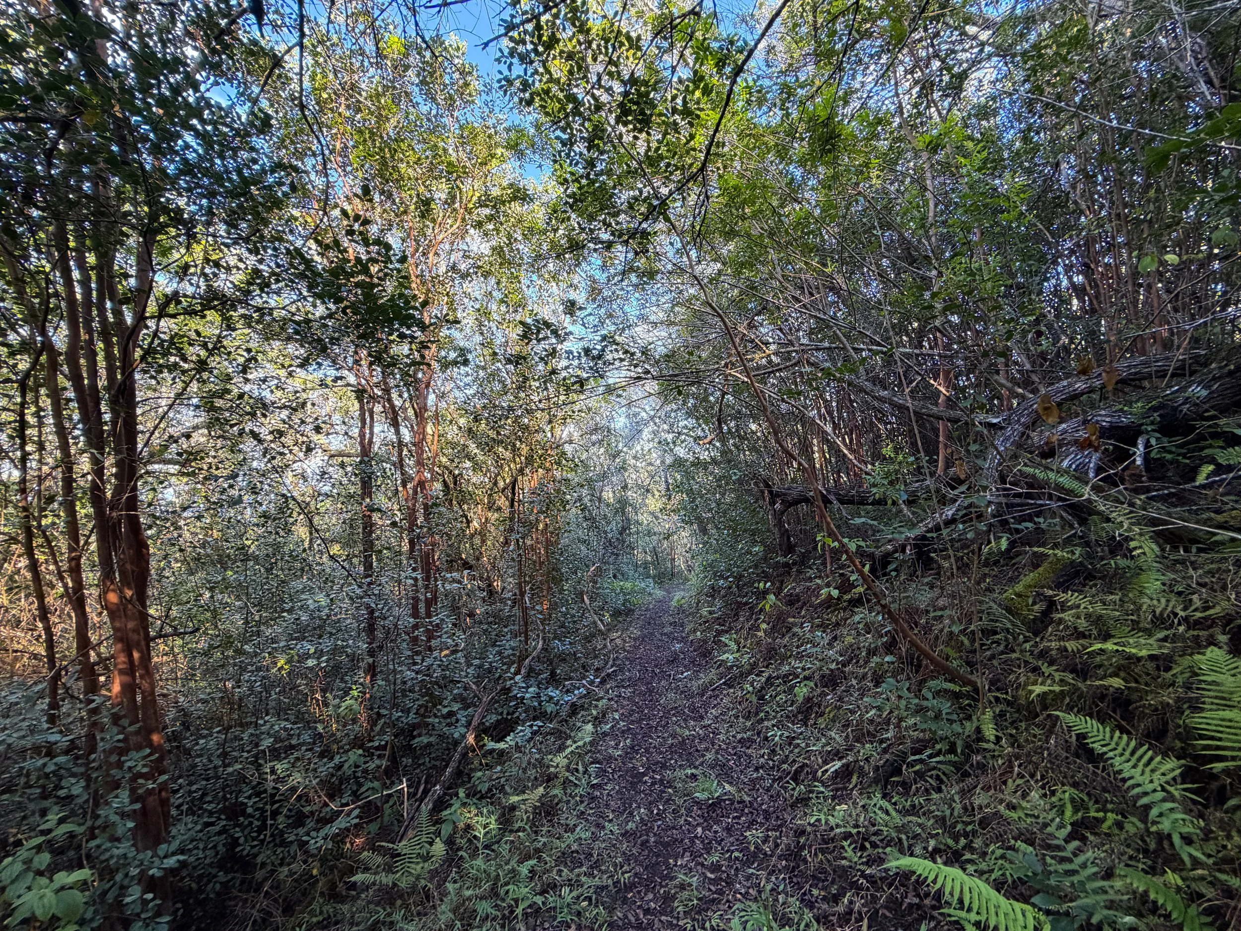 Mokuleia Trail Oahu Hawaii