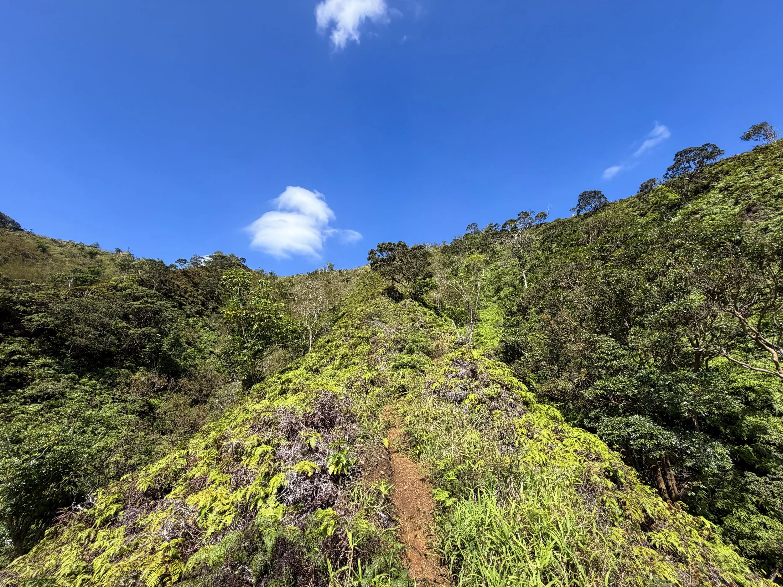 Kulanaahane Ridge Hike Oahu Hawaii